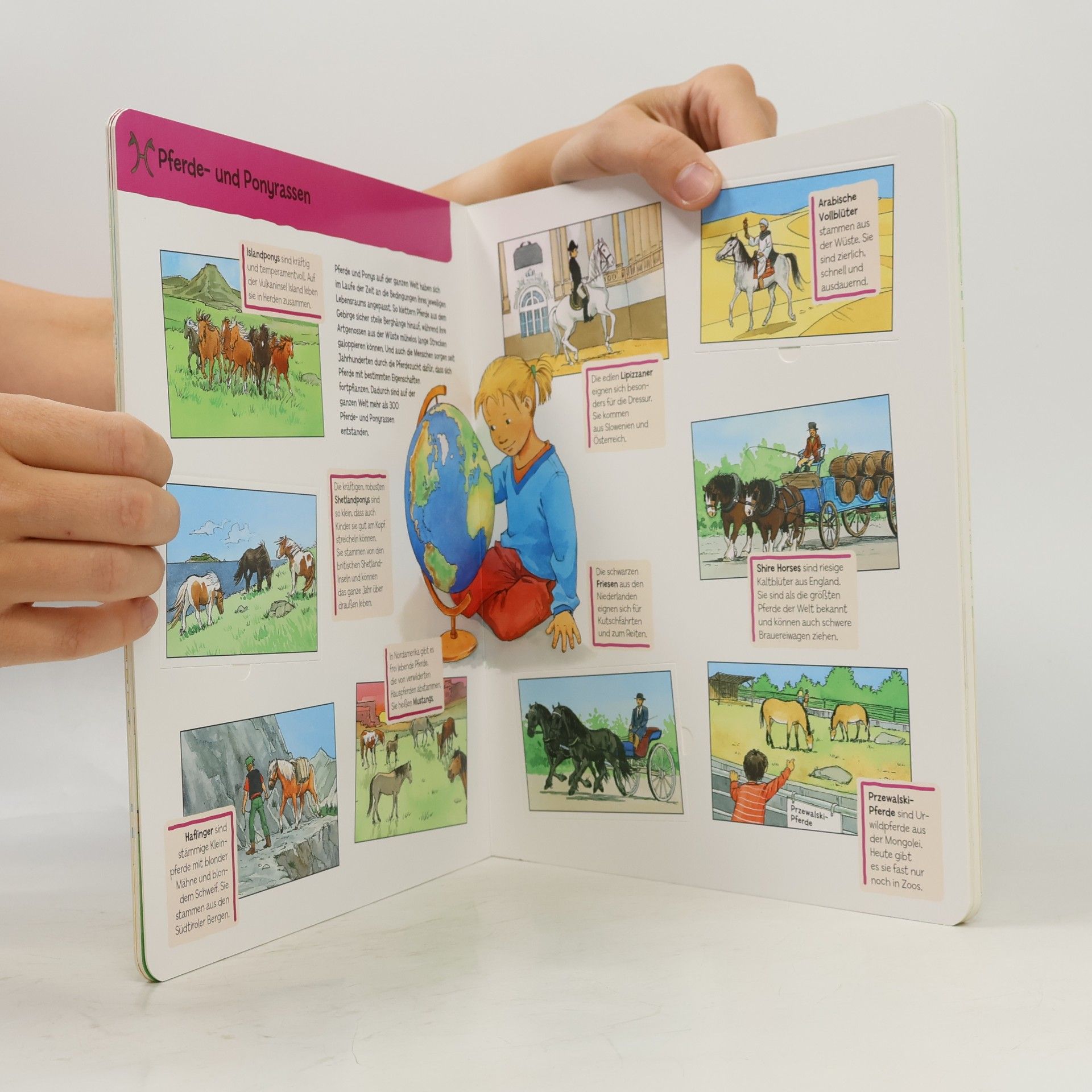 Carola von Kessel Pferde und Ponys