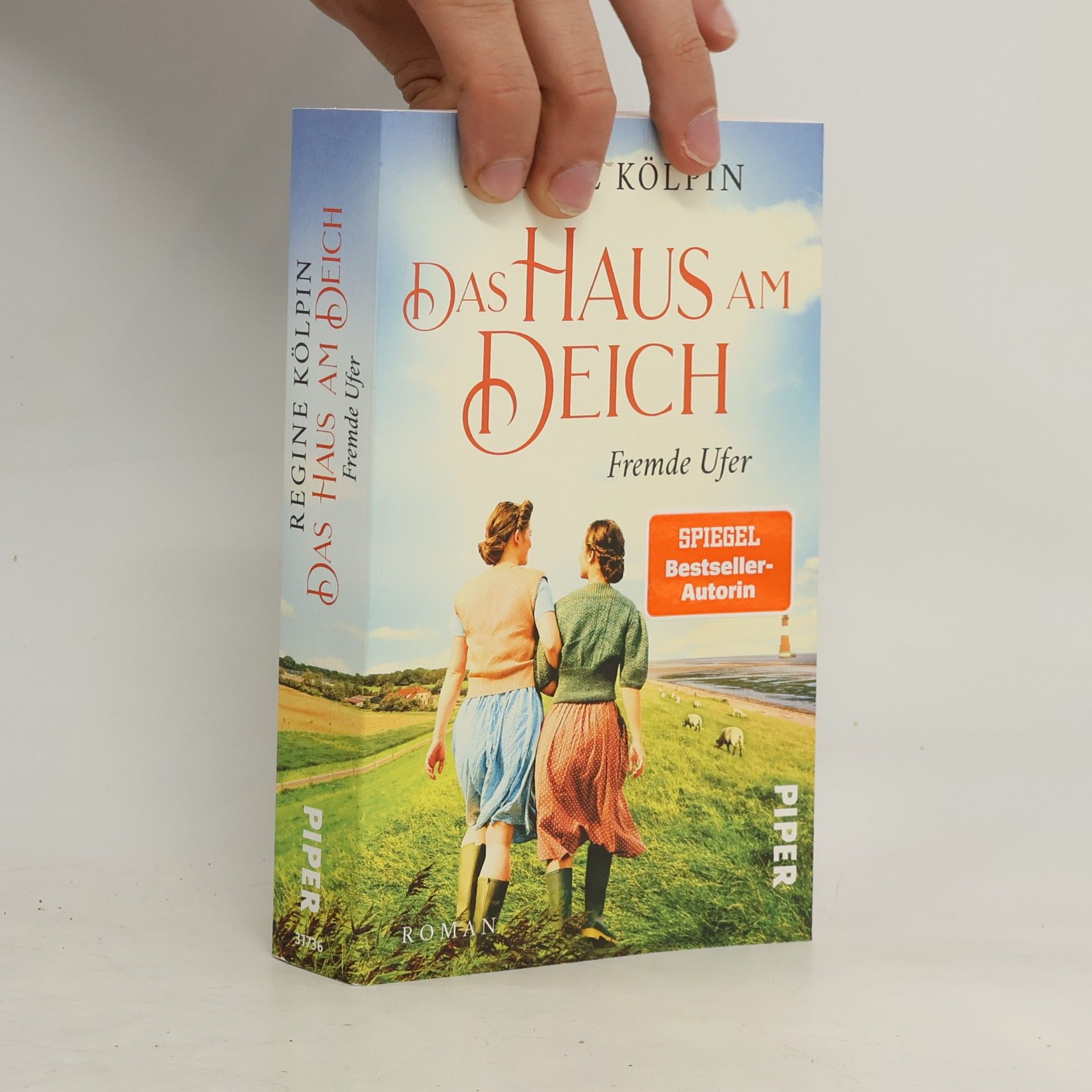 Regine Kölpin Das Haus am Deich - Fremde Ufer