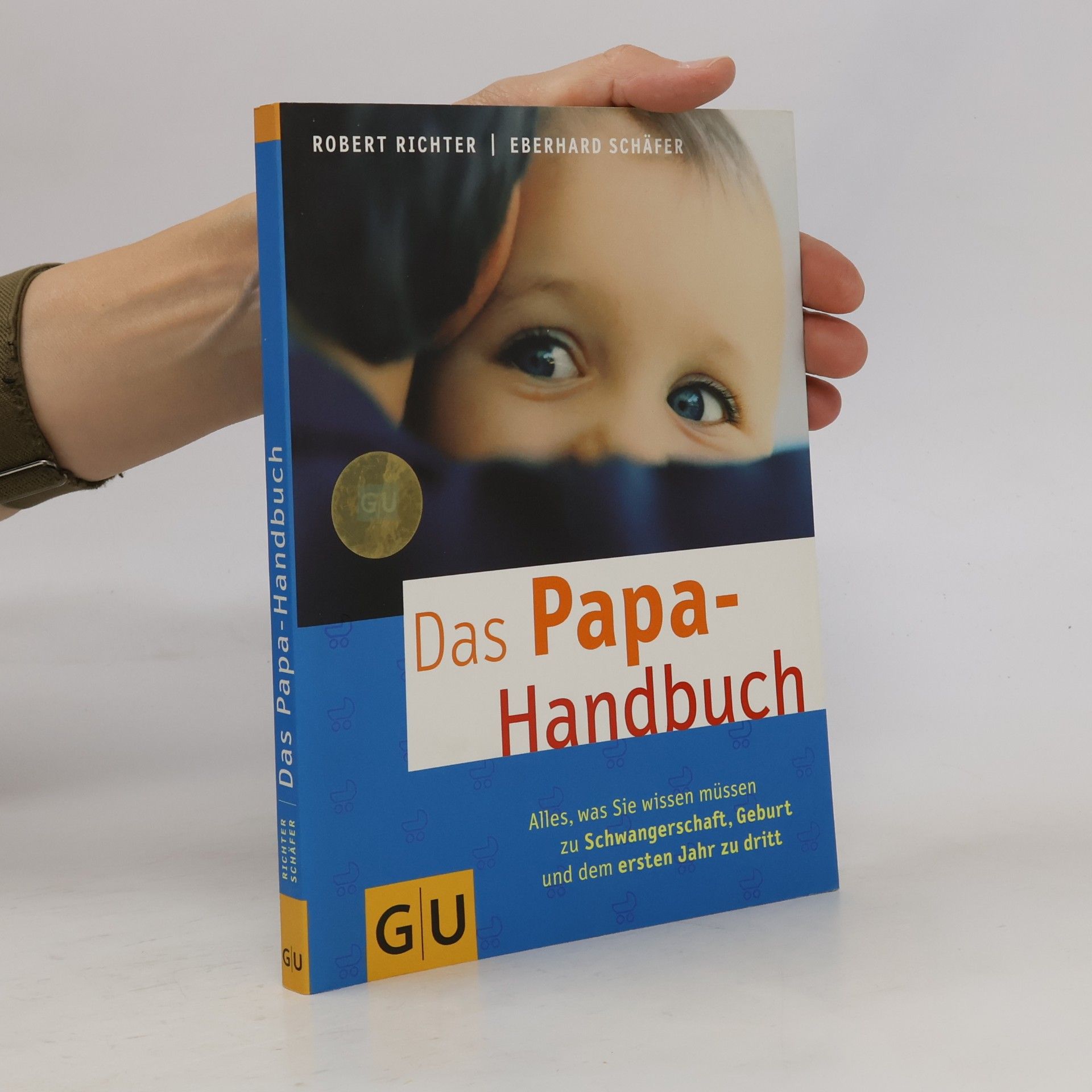 Robert Richter Das Papa-Handbuch