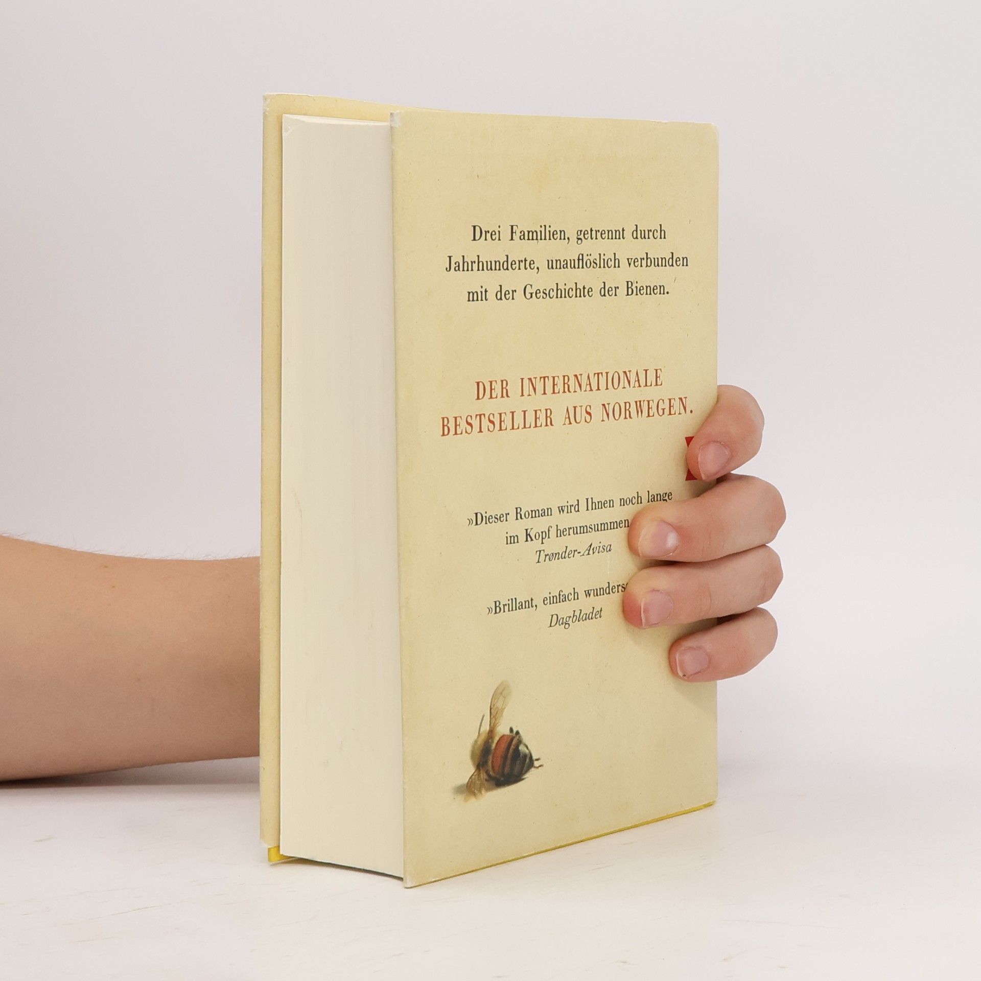 Maja Lunde Die Geschichte der Bienen