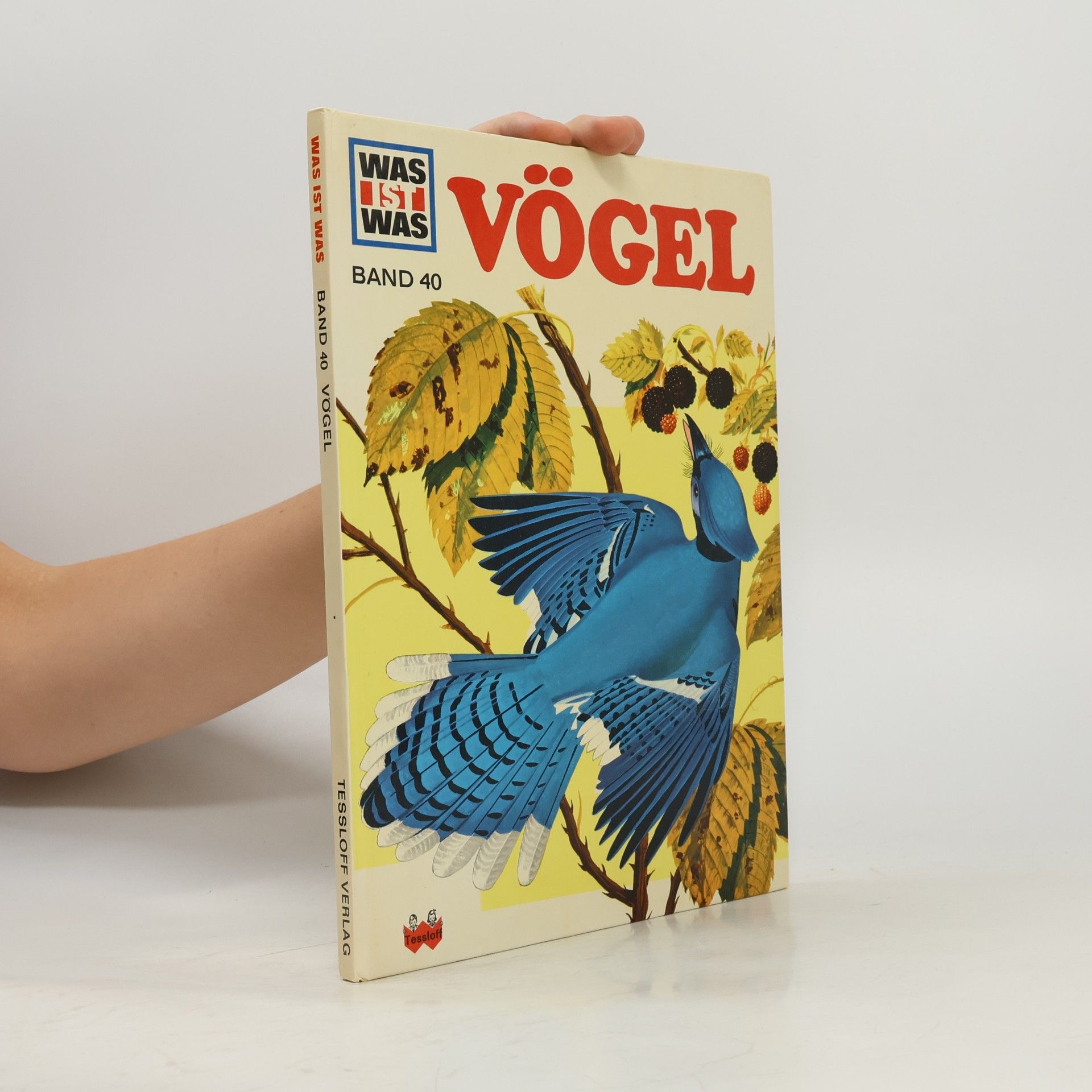Heinrich Hoerschelmann Vögel