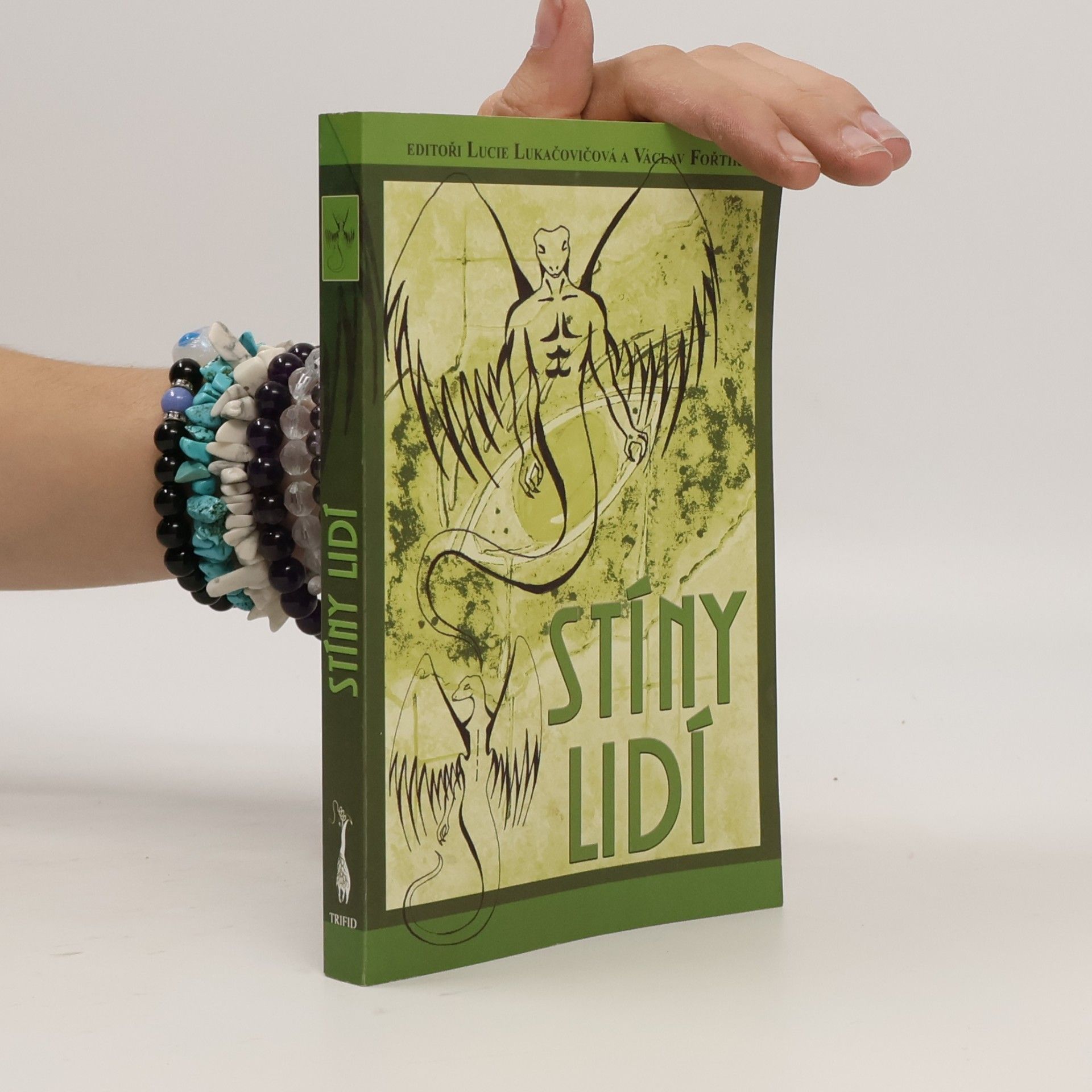 Autorenkollektiv Stíny lidí