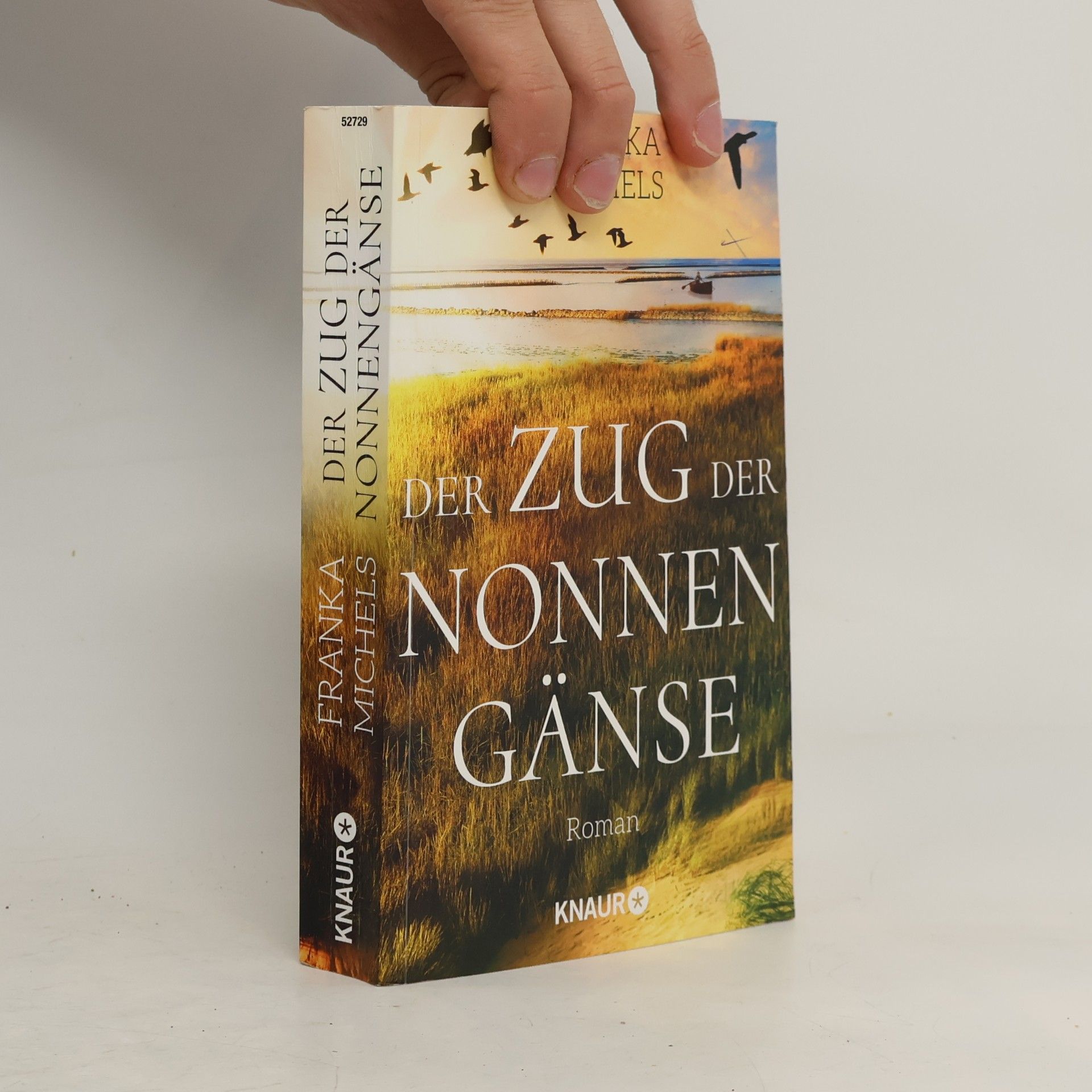 Franka Michels Der Zug der Nonnengänse