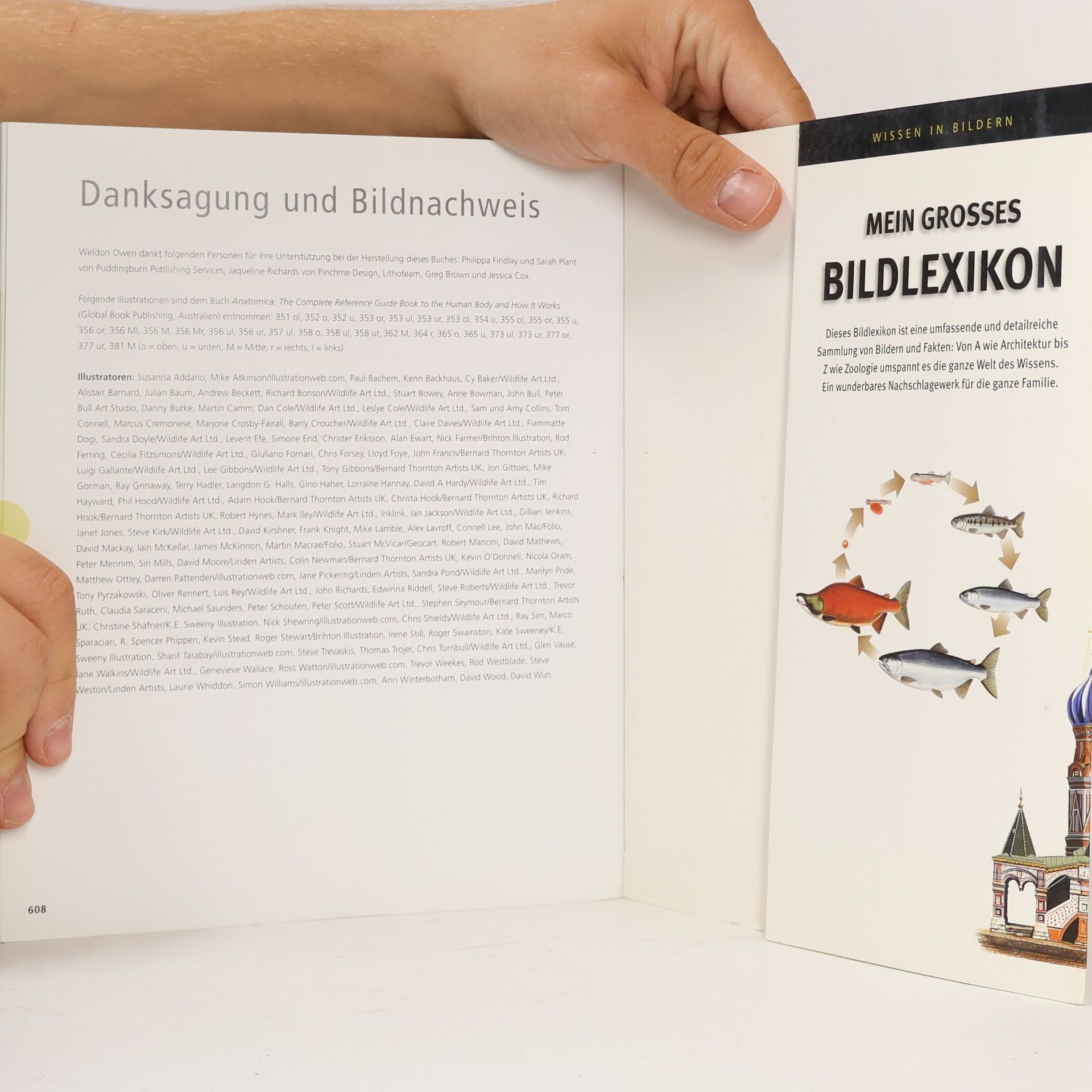 Kolektiv autorů Mein grosses bildlexikon