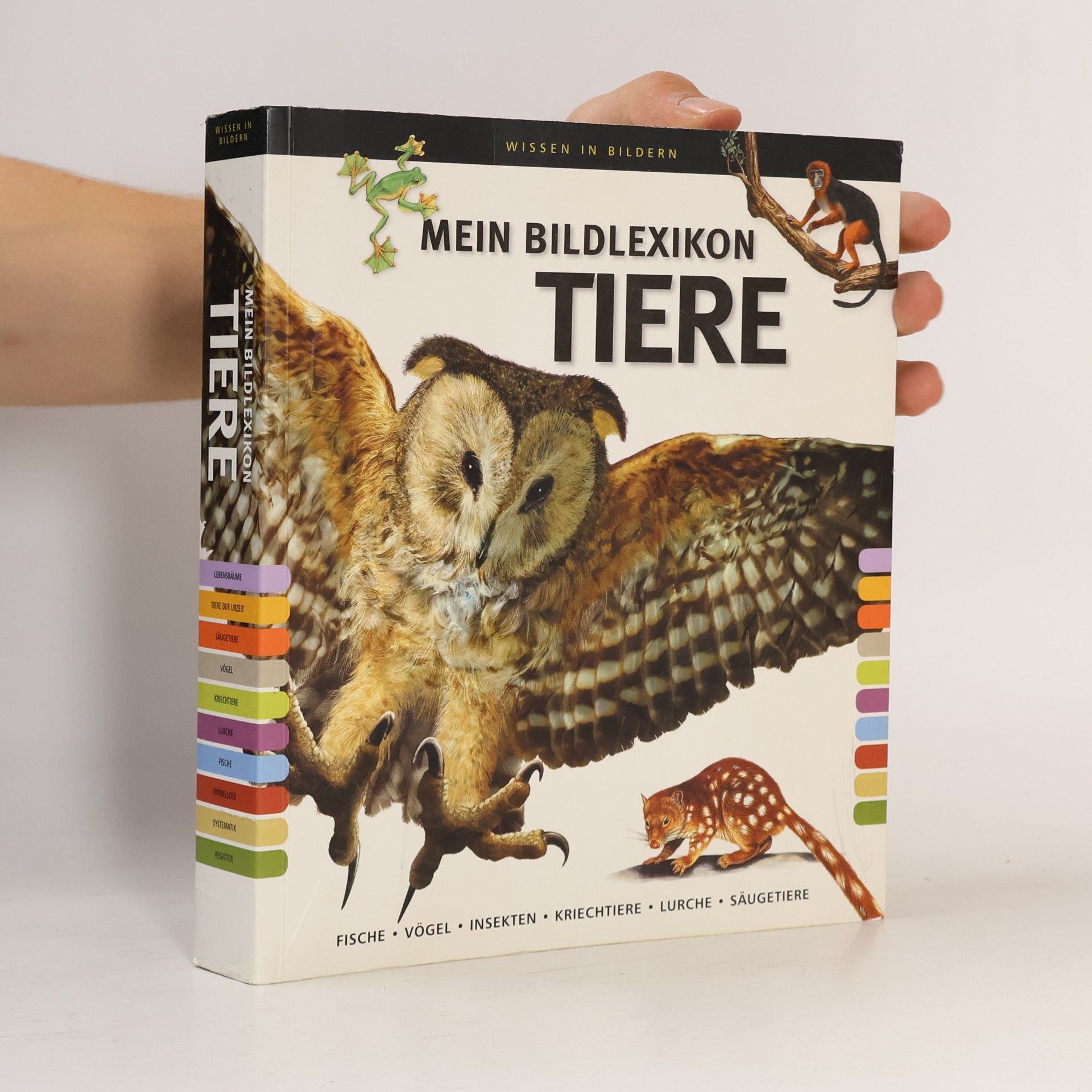 Kolektiv autorů Mein Bildlexikon Tiere