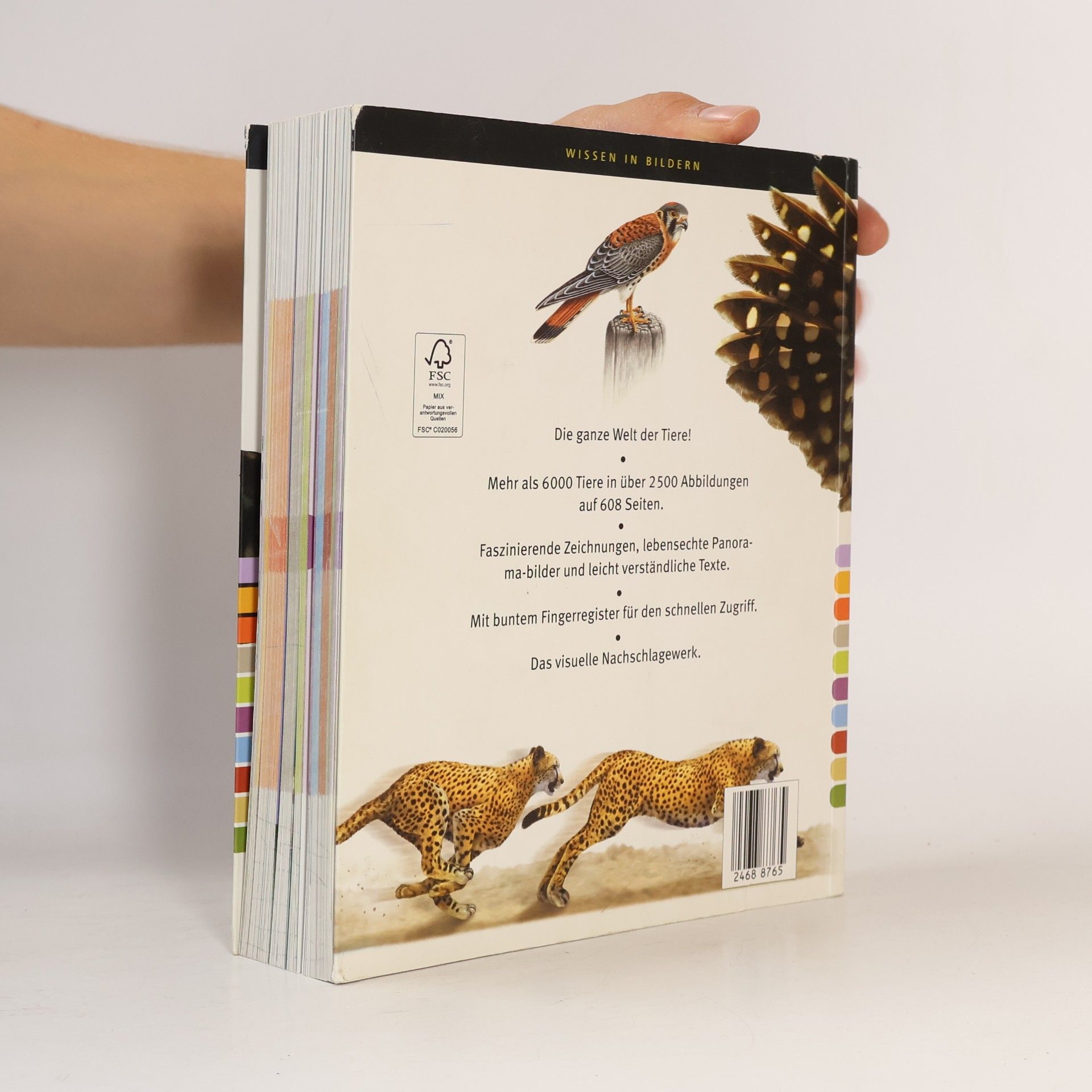 Various authors Mein Bildlexikon Tiere