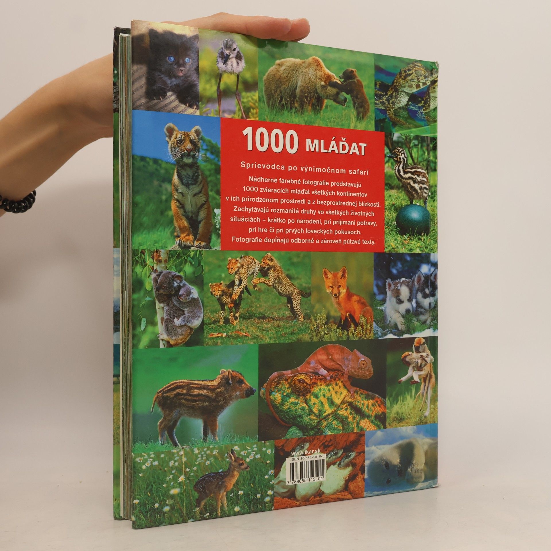 Ulrike Schöber 1000 mláďat