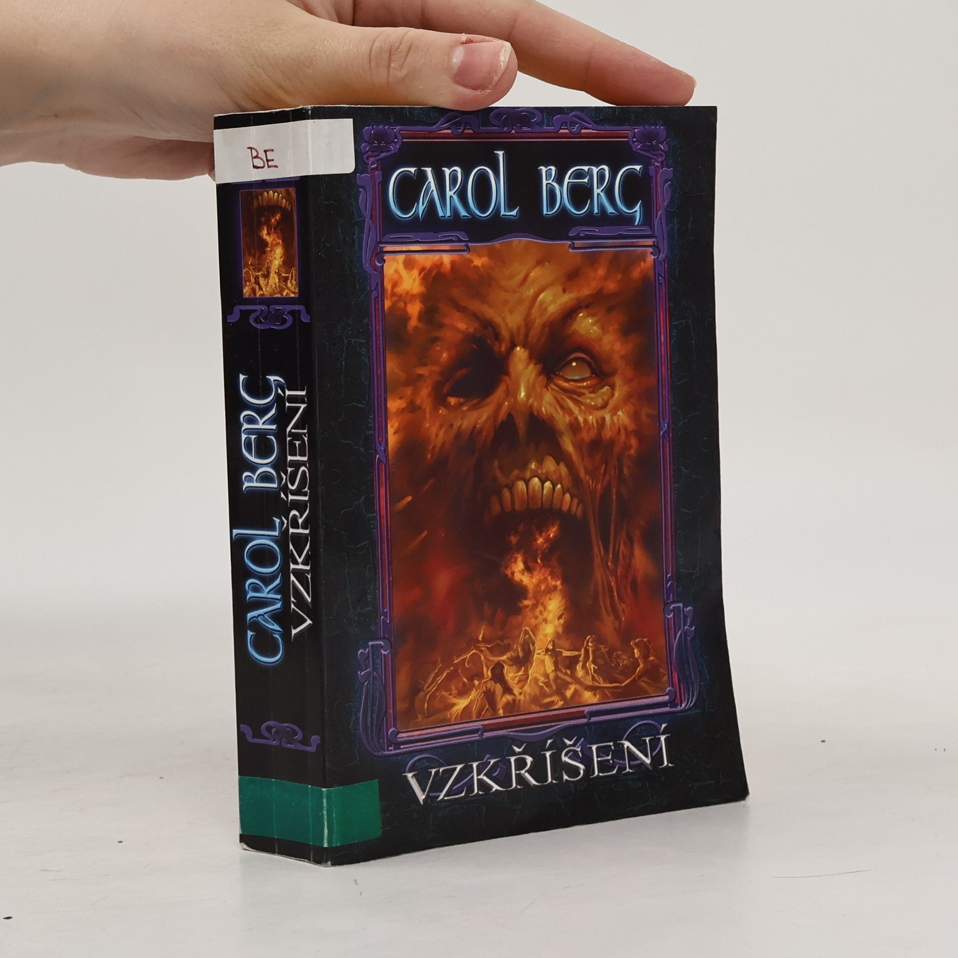 Carol Berg Vzkříšení