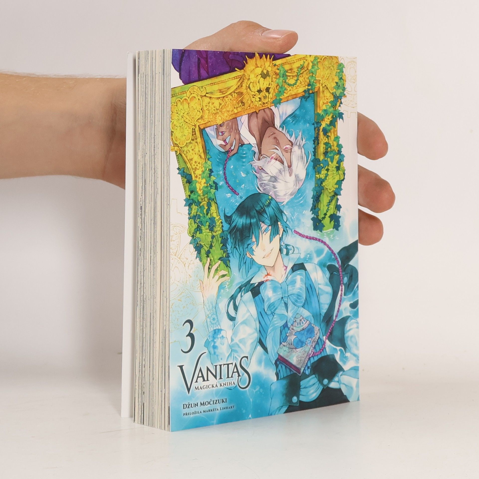 Markéta Linhart Vanitas 3