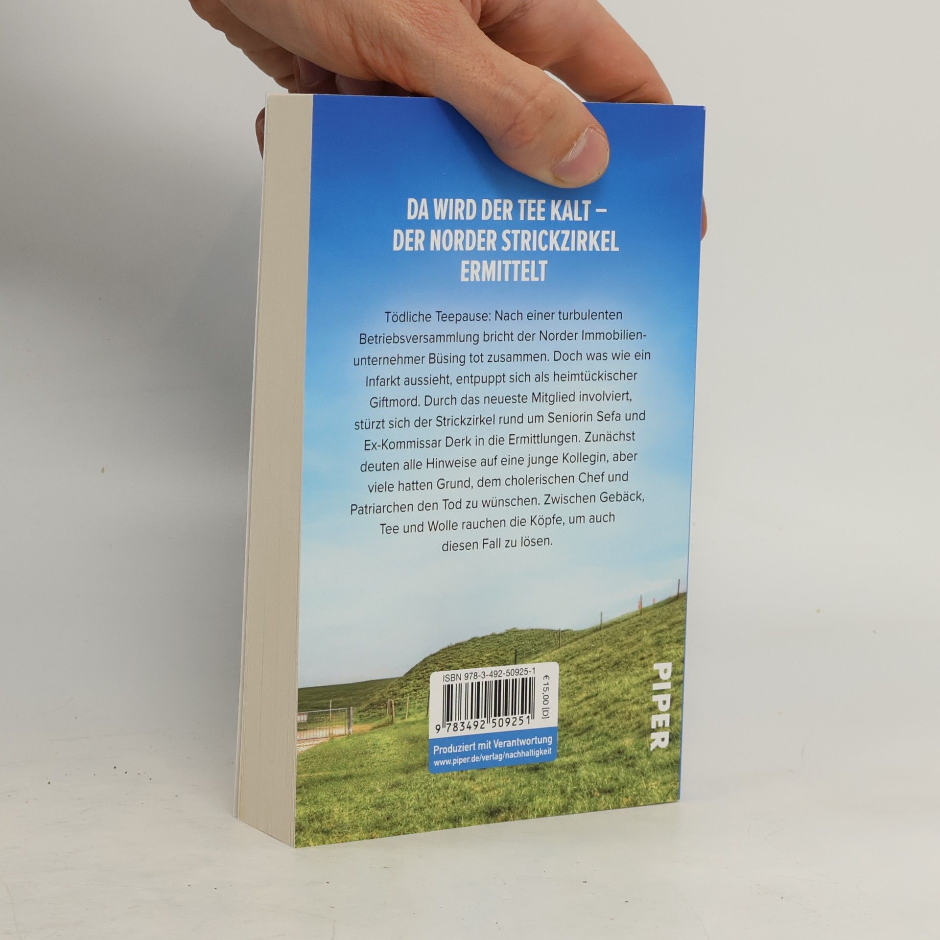 Manuela Sanne Maschen, Mord und Meer - 2: Tod zur Teetied