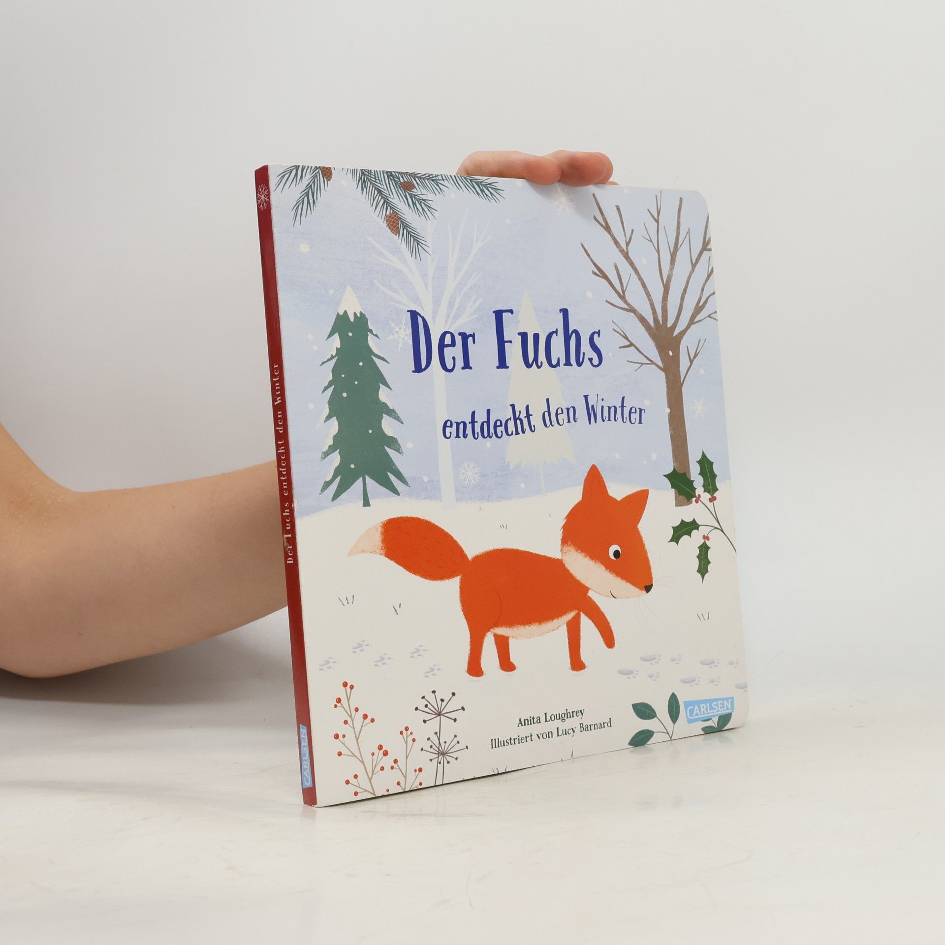 Anita Loughrey Der Fuchs entdeckt den Winter
