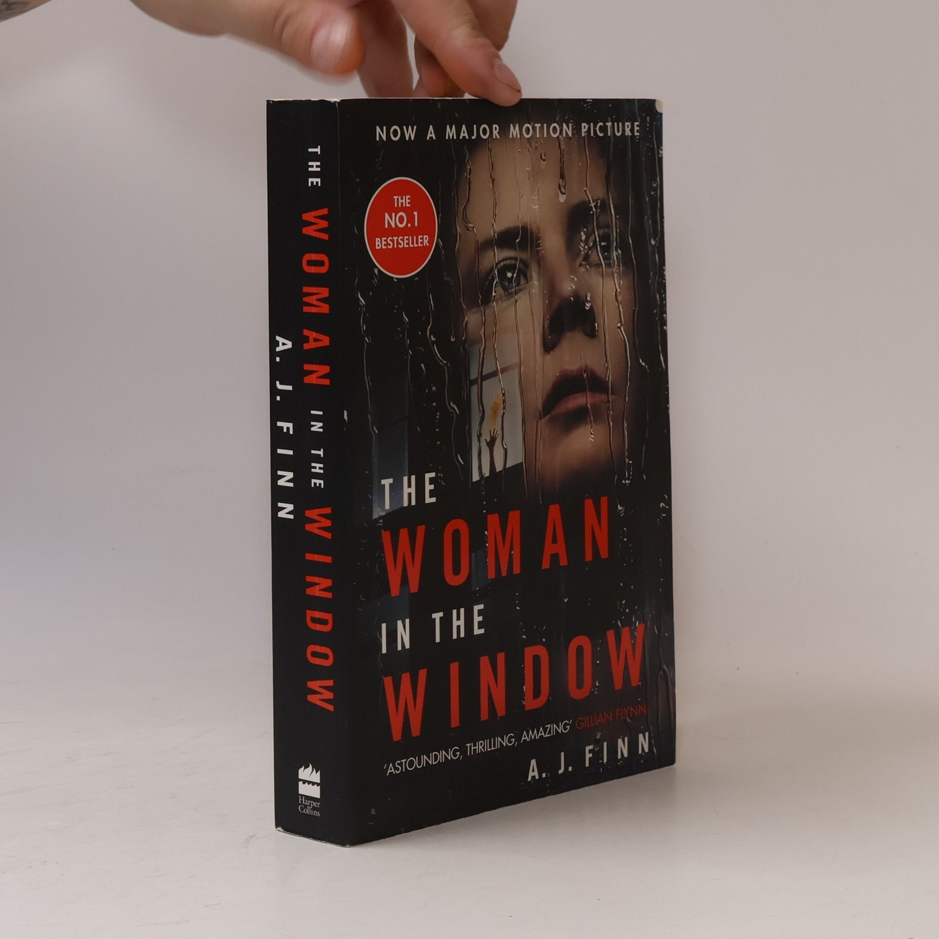 Daniel Mallory Woman in the window
