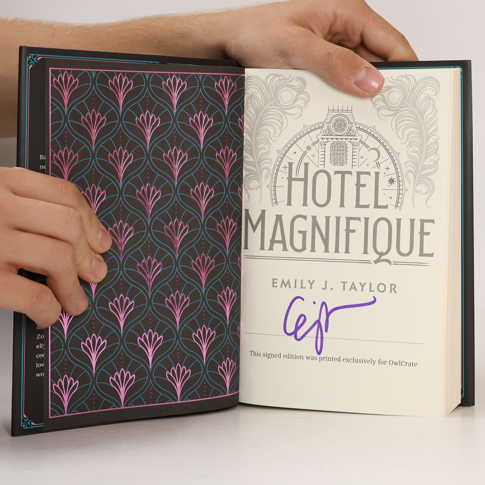 Emily J. Taylor Hotel Magnifique