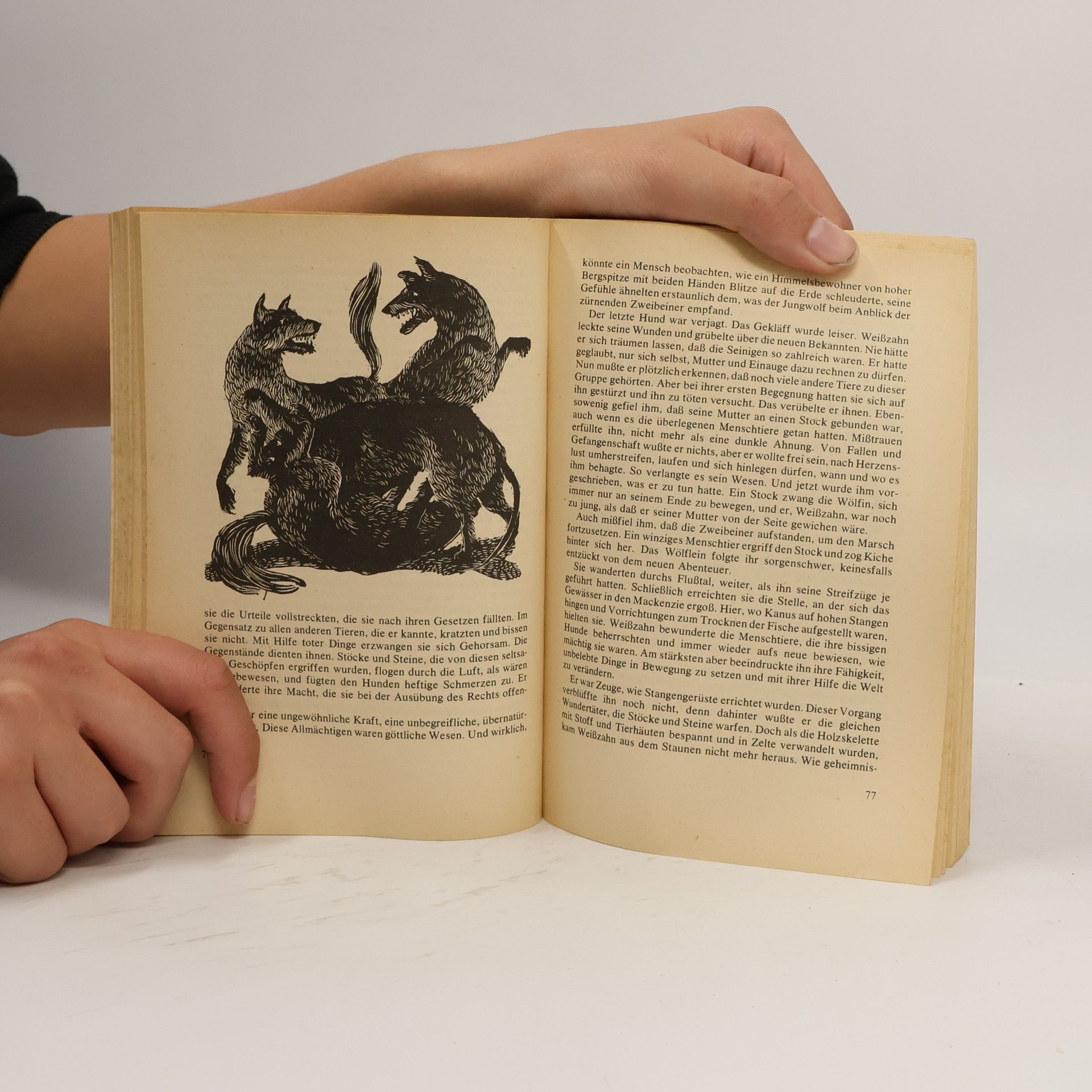 Jack London Weisszahn, der Wolfshund