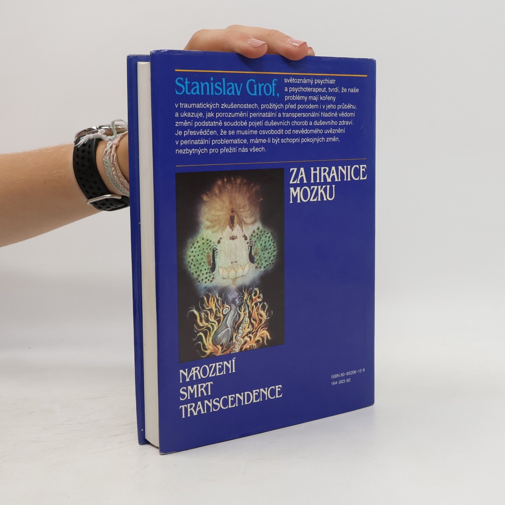 Stanislav Grof Za hranice mozku. Narození, smrt, transcendence
