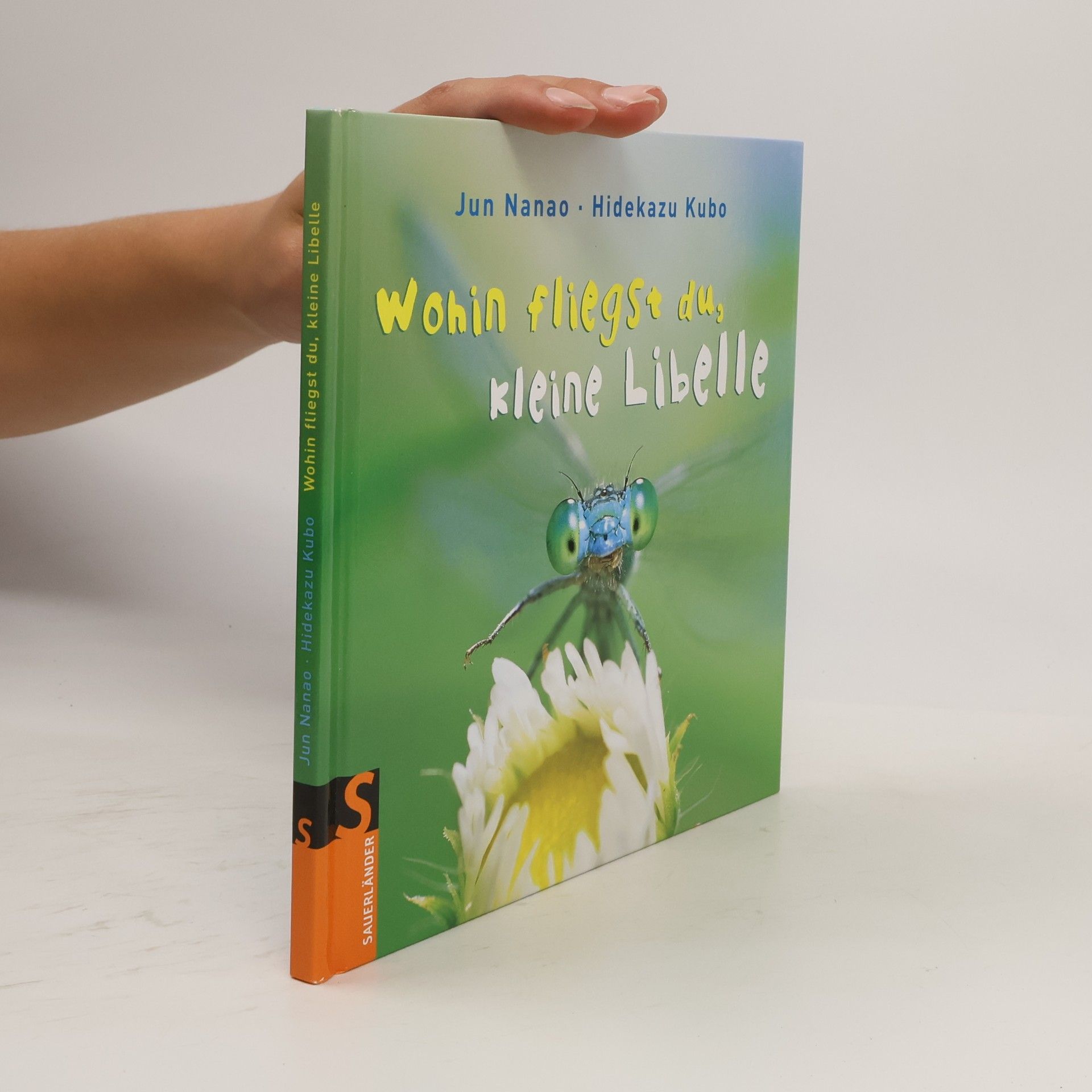 Hidekazu Kubo Wohin fliegst du, kleine Libelle?