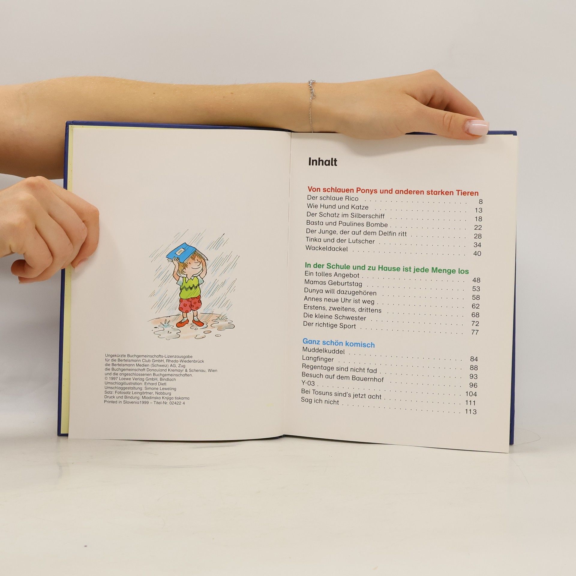 Autorenkollektiv Die schönsten Leselöwen Geschichten
