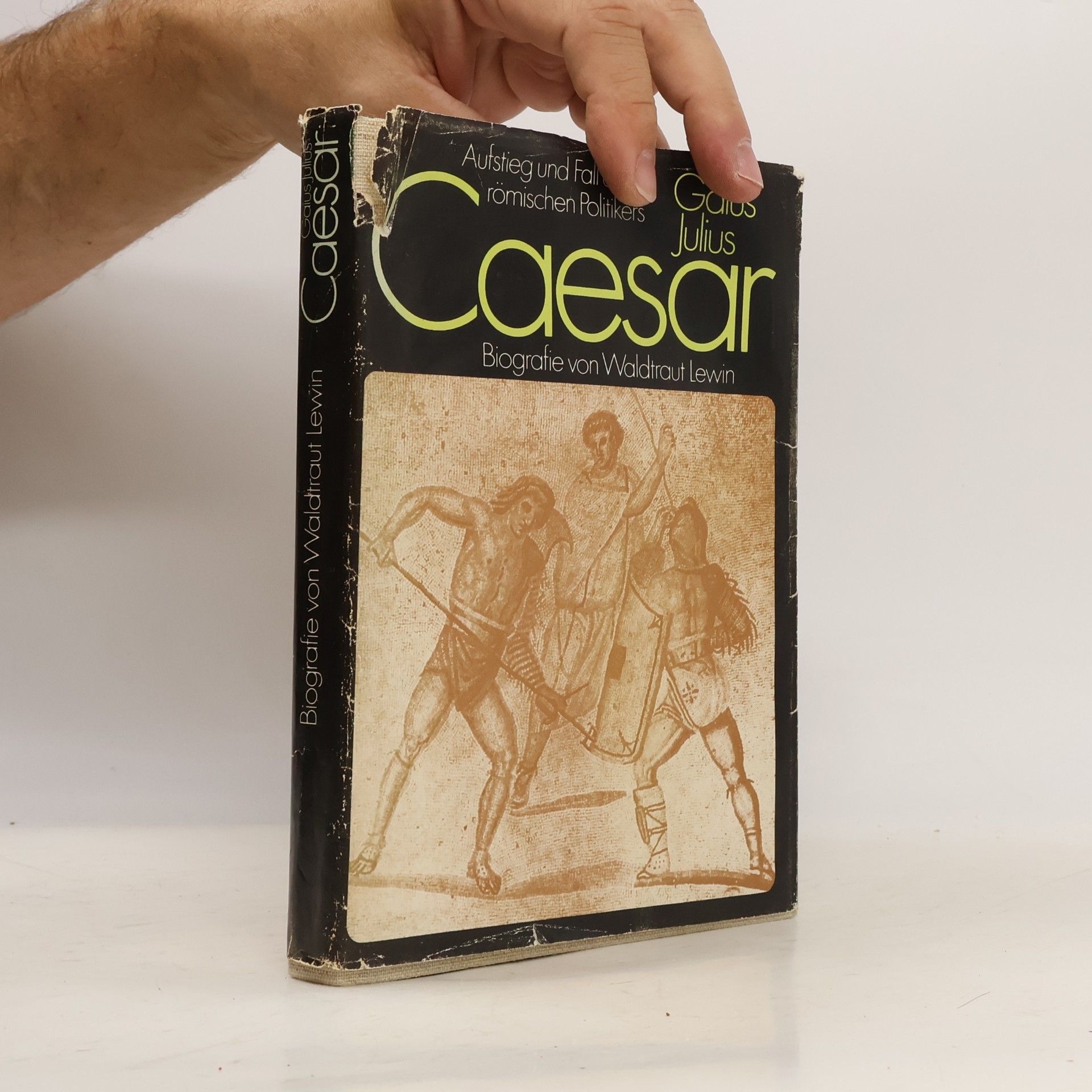 Waldtraut Lewin Gaius Julius Caesar