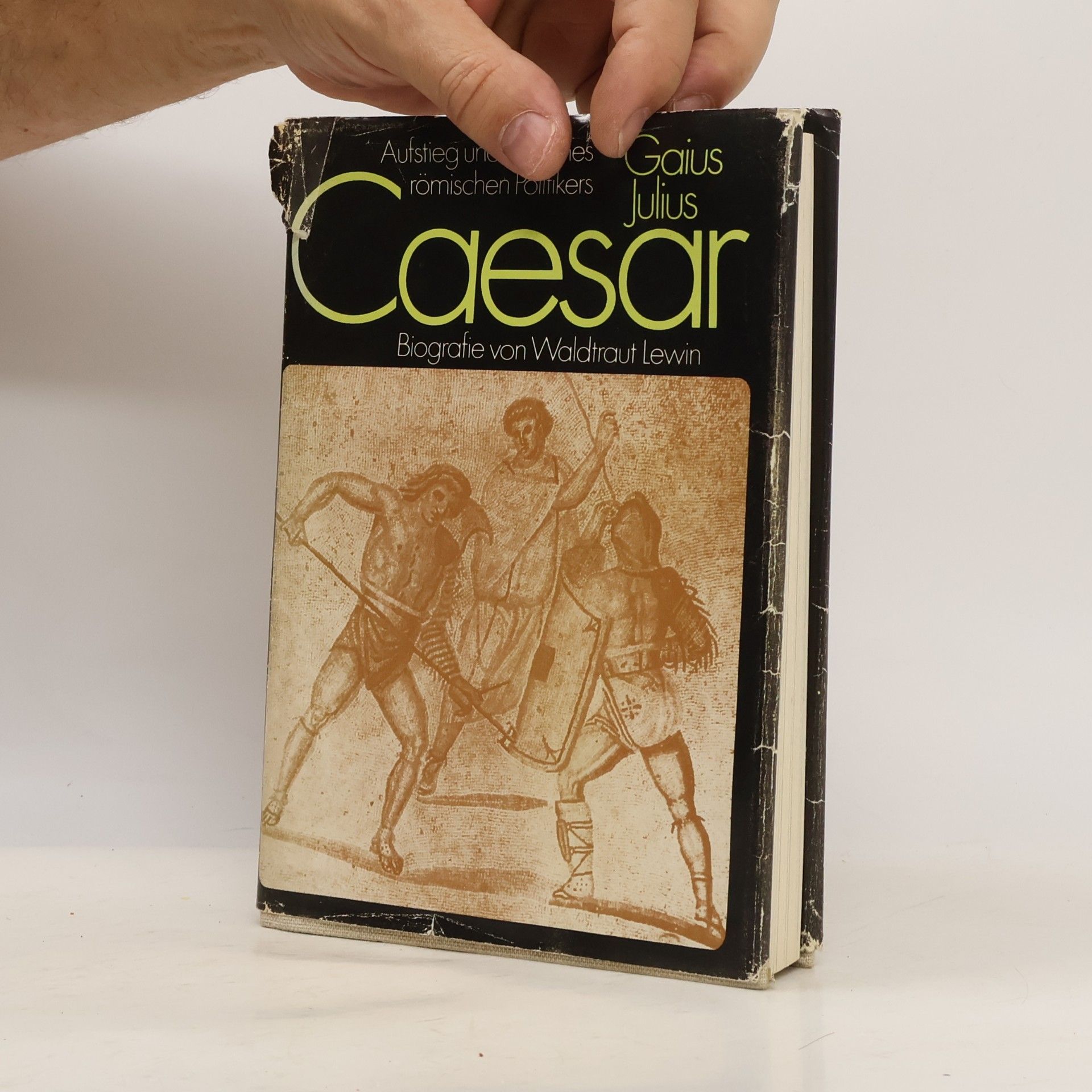 Waldtraut Lewin Gaius Julius Caesar