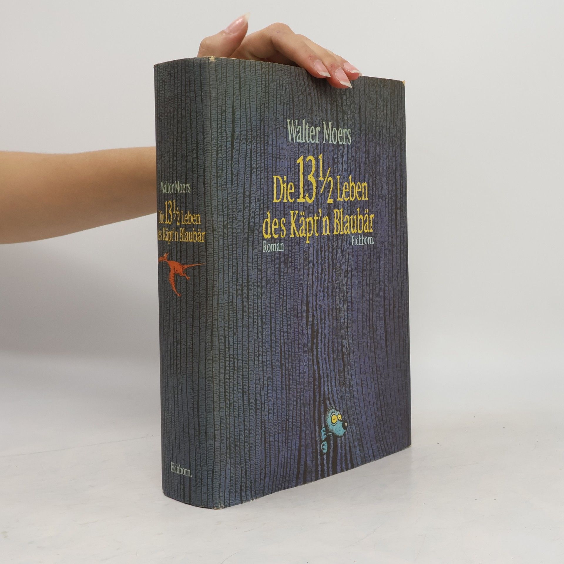 Walter Moers Die 13 1/2 Leben des Käpt'n Blaubär