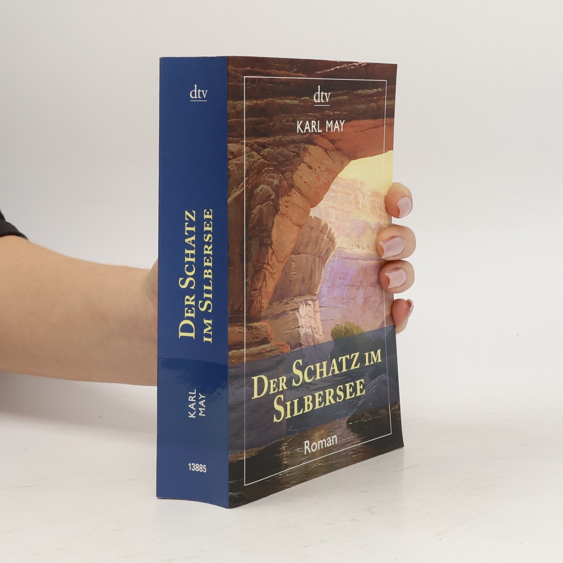 Karl May Der Schatz im Silbersee (dtv Fortsetzungsnummer 12)
