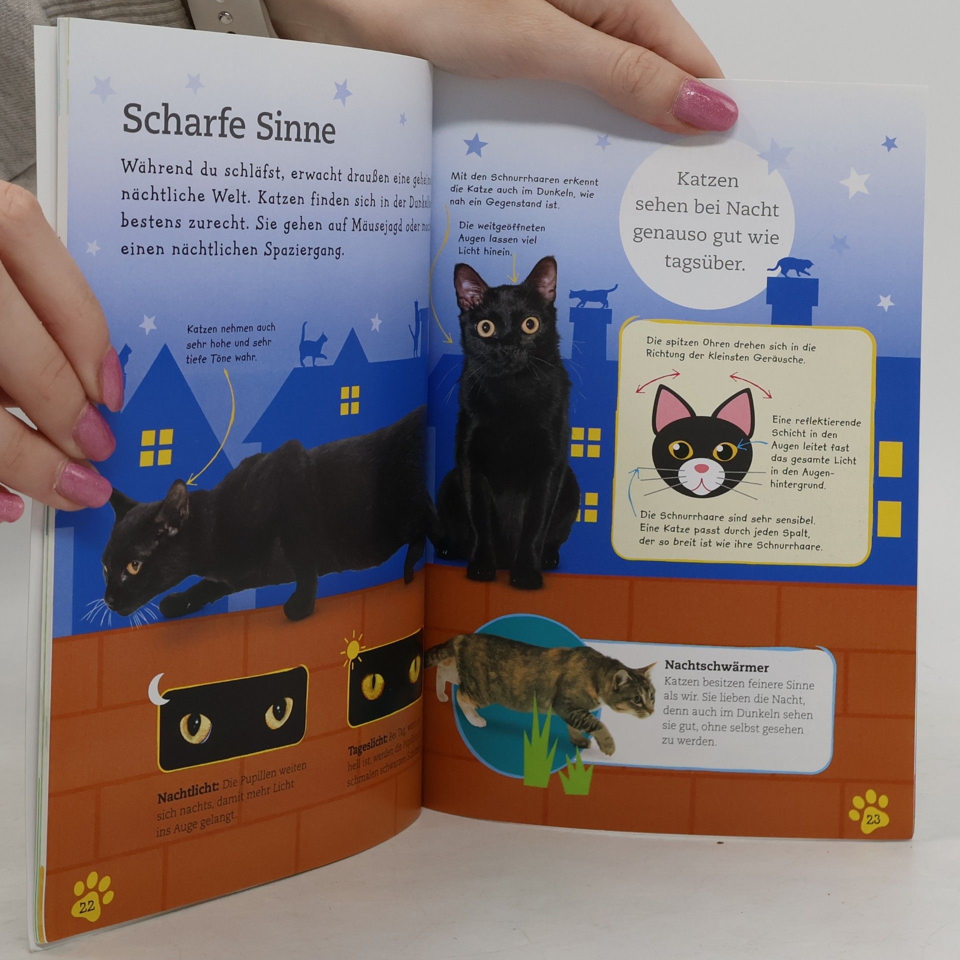 Autorenkollektiv Hund & Katze. Alles über dein Lieblingstier