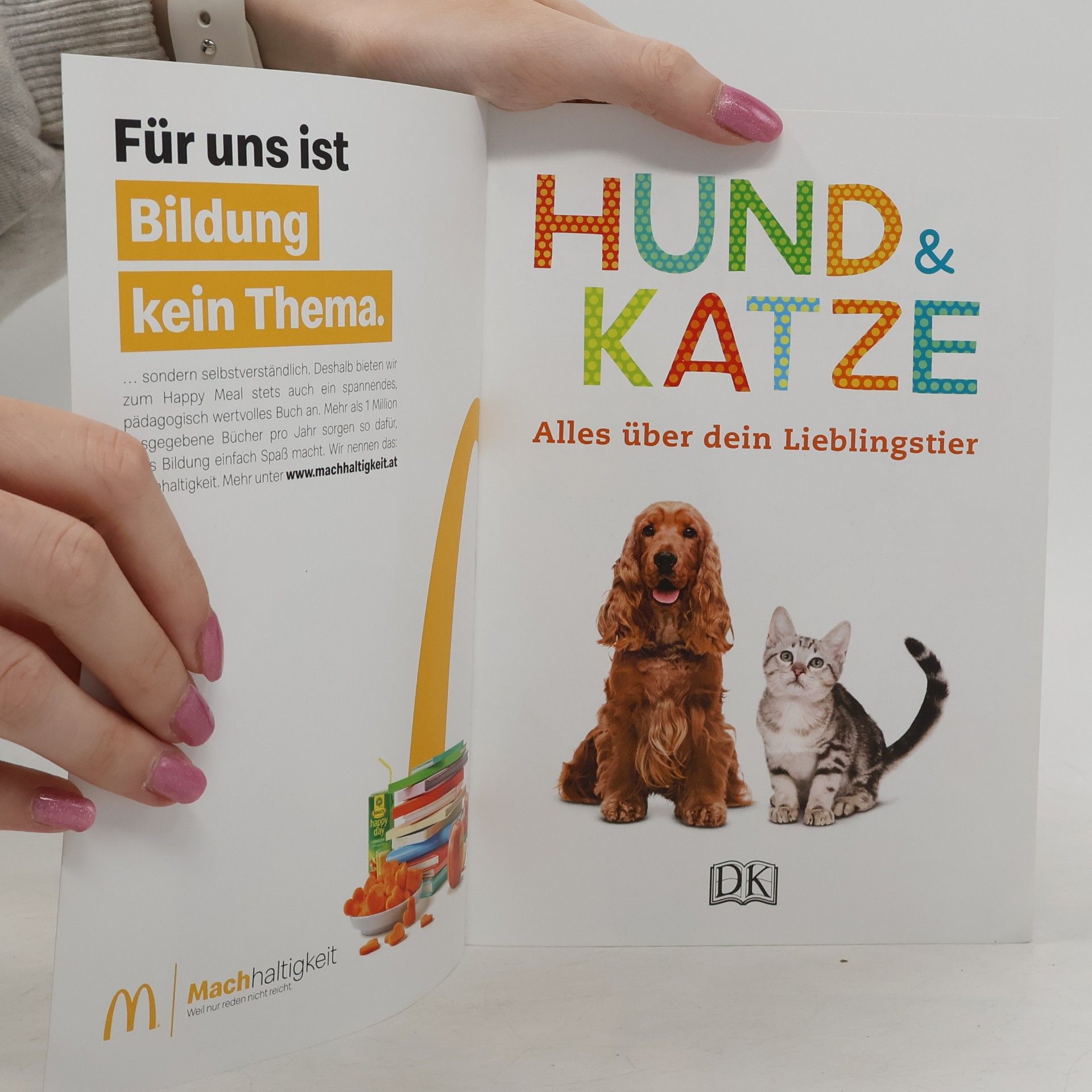 Autorenkollektiv Hund & Katze. Alles über dein Lieblingstier