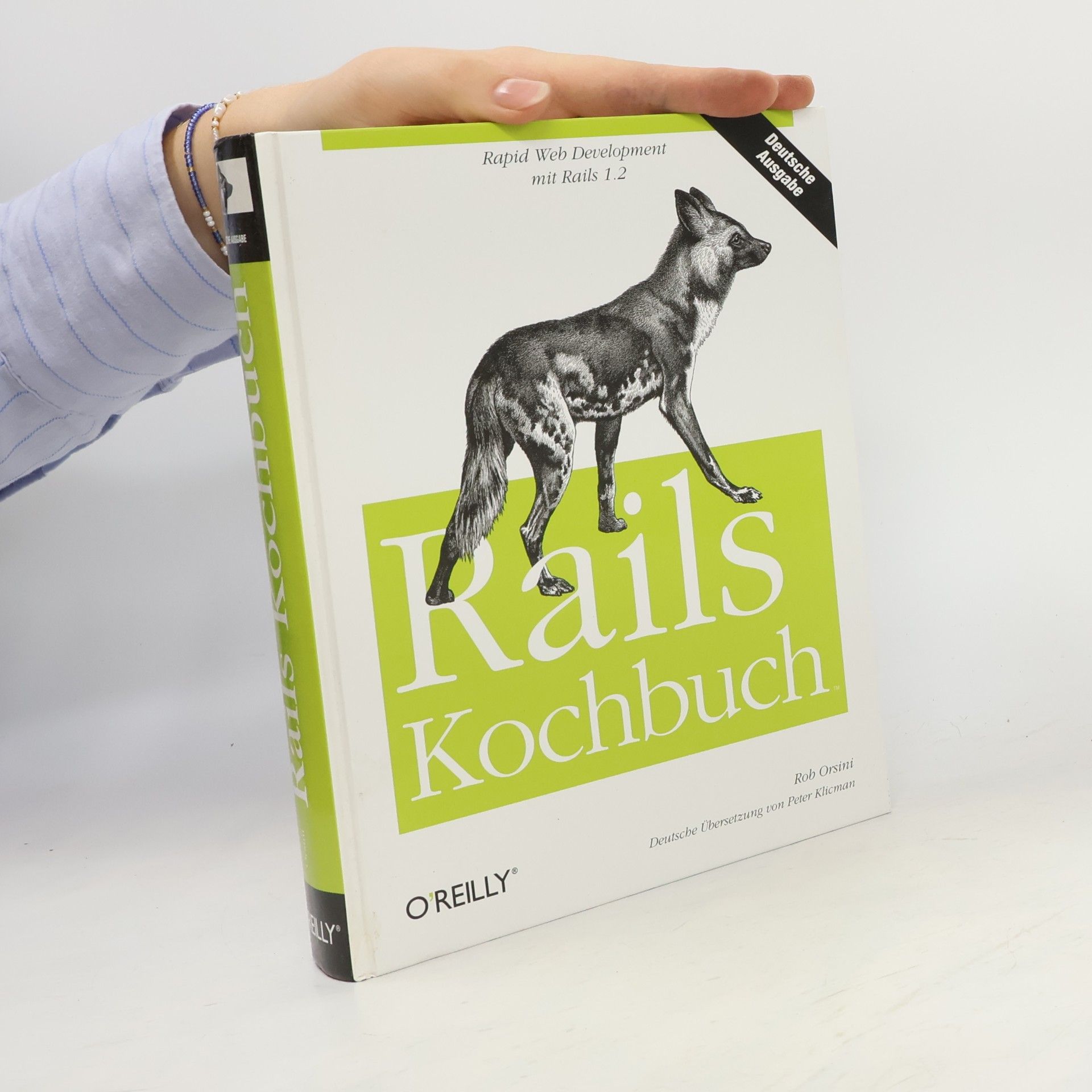 Roberta Orsini Rails Kochbuch: Deutsche Ausgabe - Deutsche Übersetzung von Peter Klicman