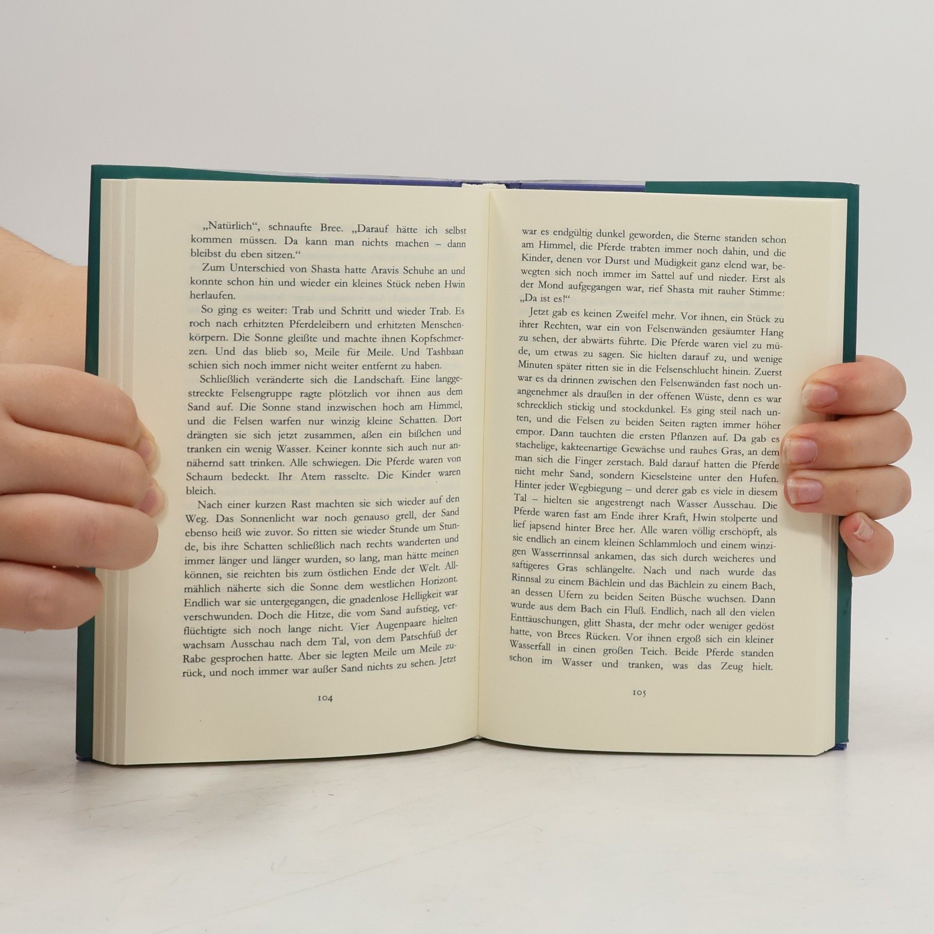 Clive Staples Lewis Die Chroniken von Narnia - 3: Der Ritt nach Narnia