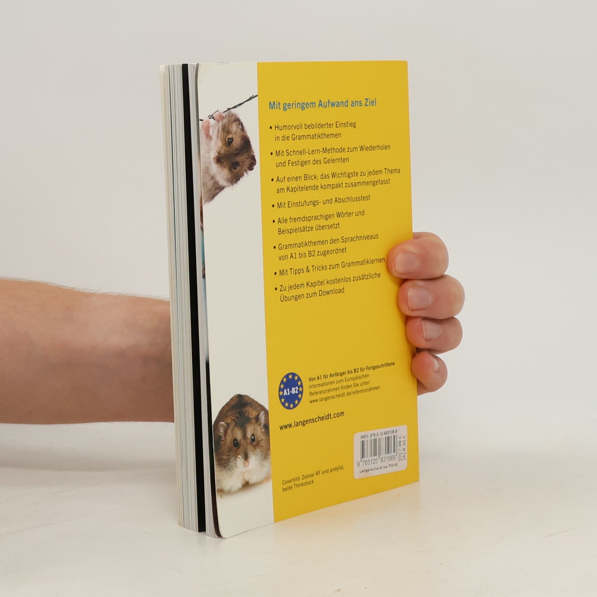 Sarah Fleer Langenscheidt Kurzgrammatik Deutsch - Buch mit Download
