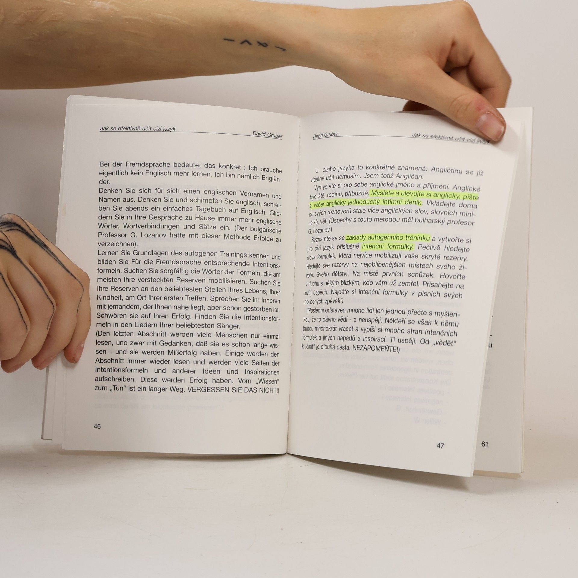 David Gruber Fremdsprache effektiver studieren : jak se efektivně učit cizí jazyk : česko-německá verze