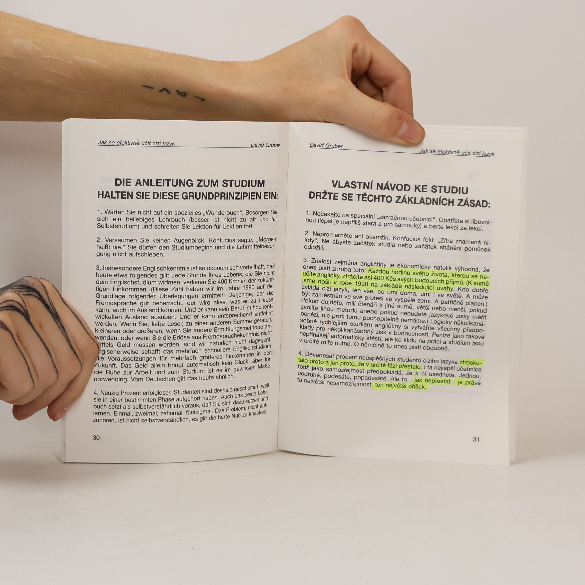 David Gruber Fremdsprache effektiver studieren : jak se efektivně učit cizí jazyk : česko-německá verze