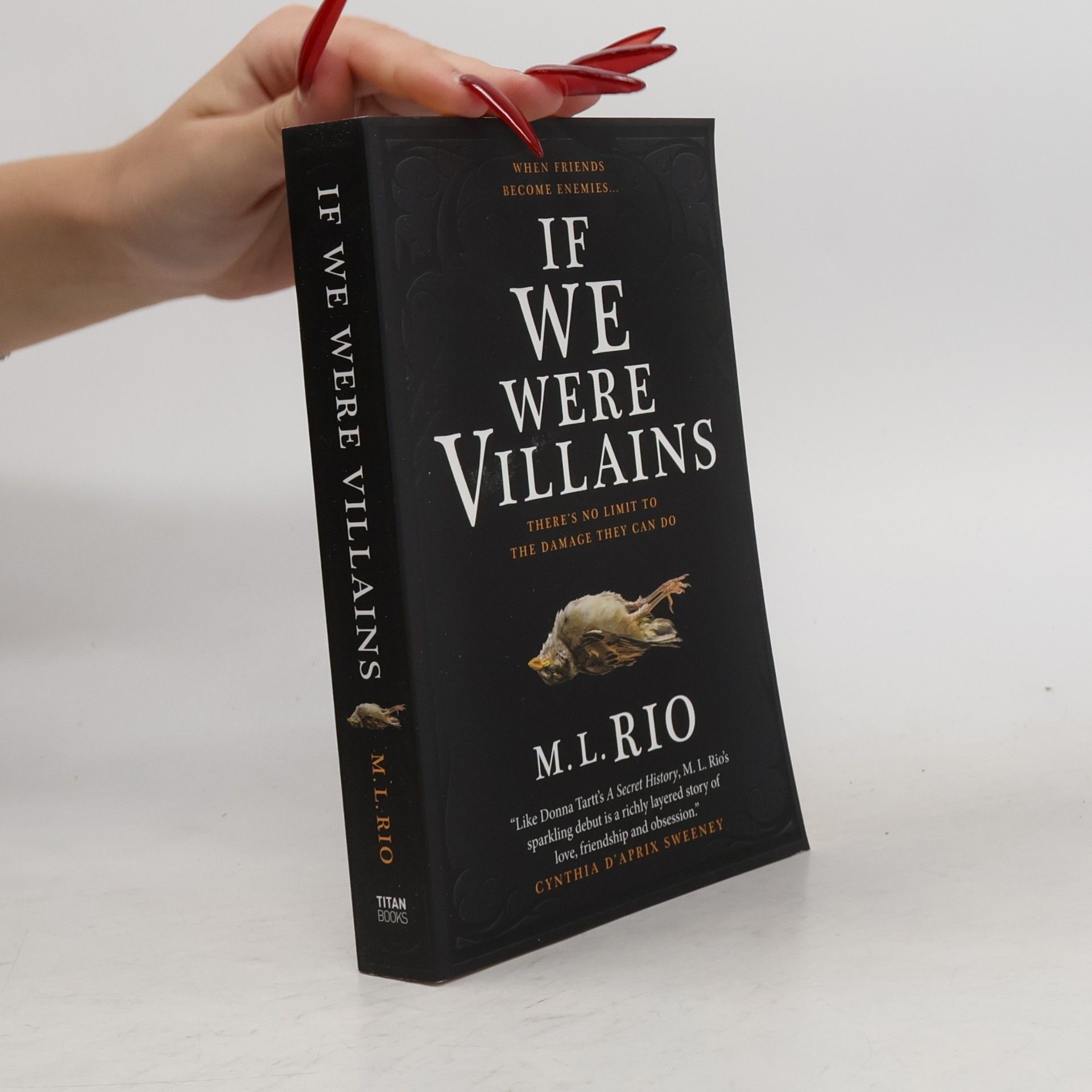 If We Were Villains