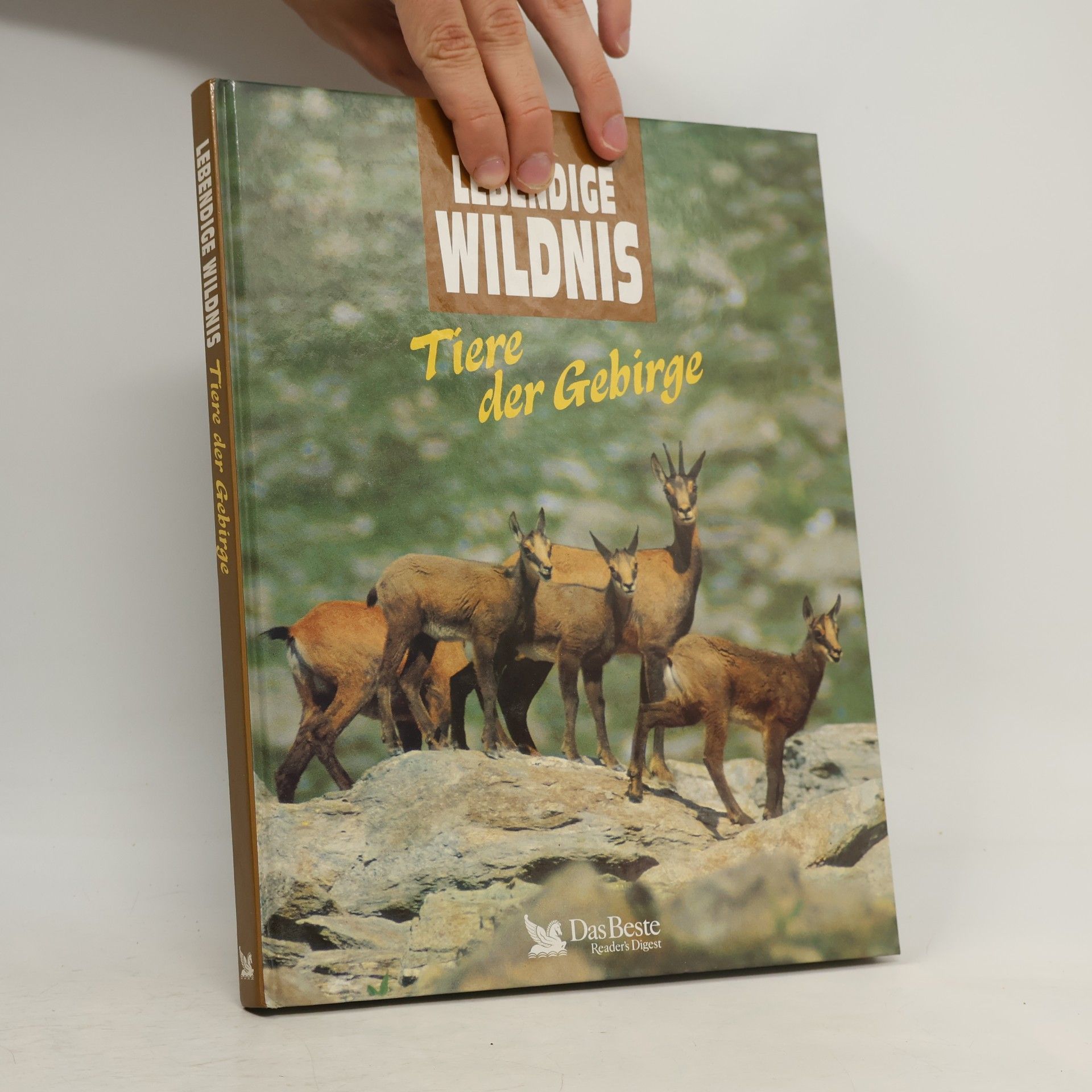 Kolektiv autorů Lebendige Wildnis - Tiere der Gebirge
