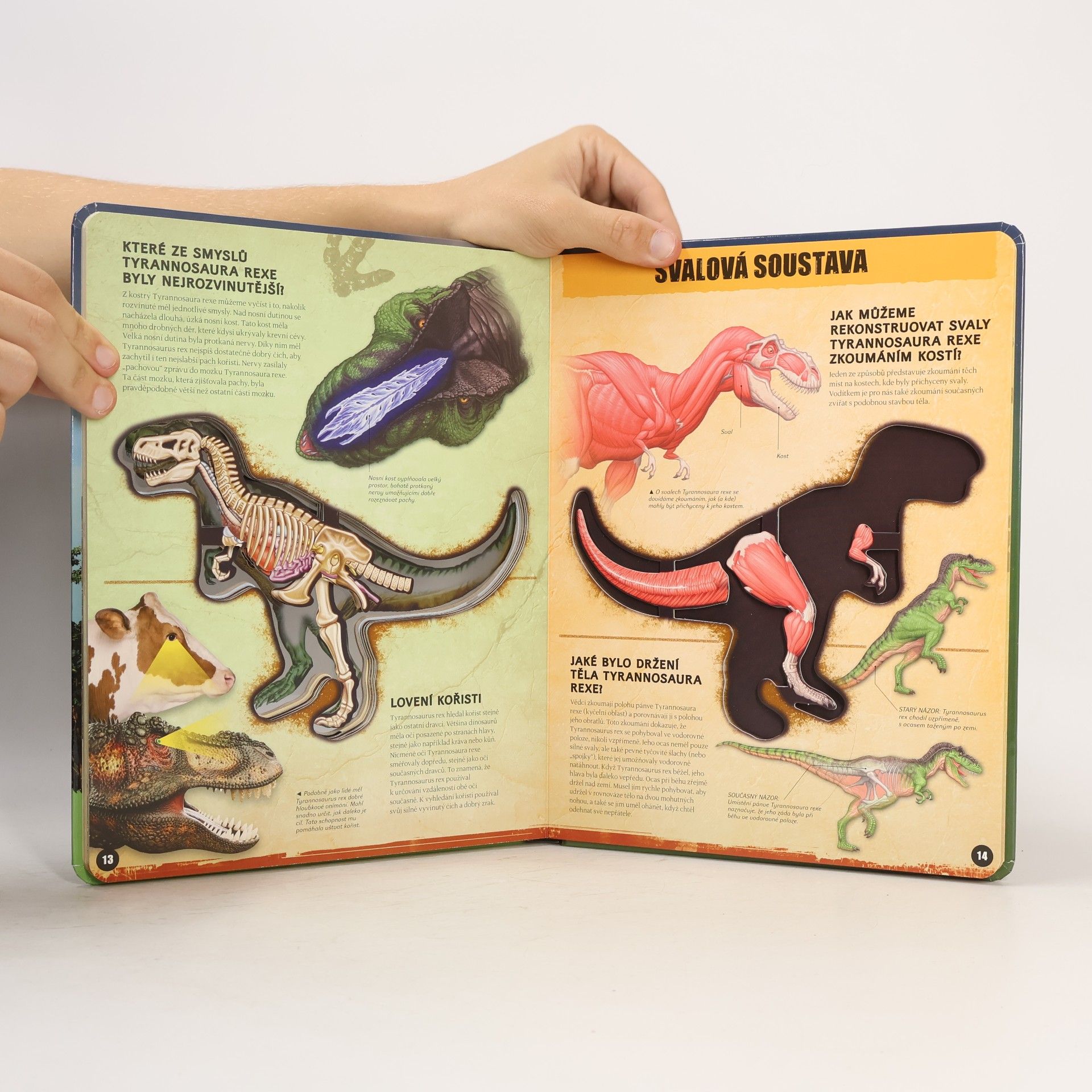 Dennis Schatz T-Rex zevnitř: Poznej nejslavnějšího dinosaura na světě!