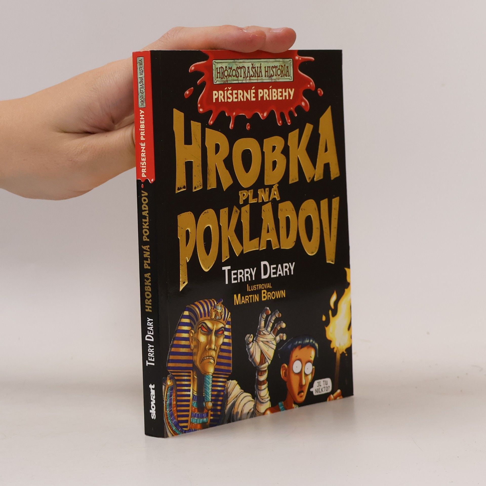 Terry Deary Hrobka plná pokladov