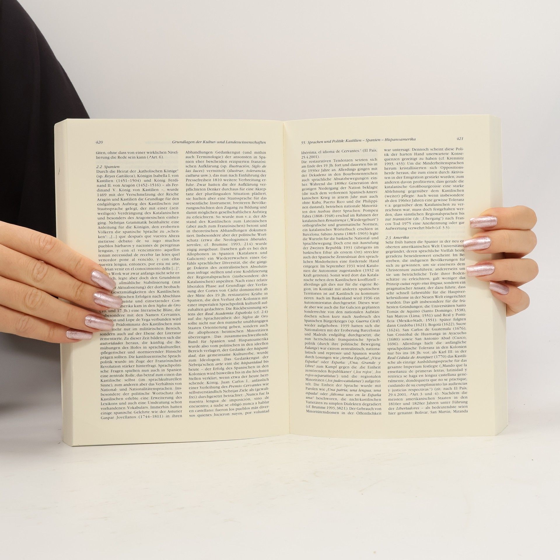 Joachim Born Handbuch Spanisch