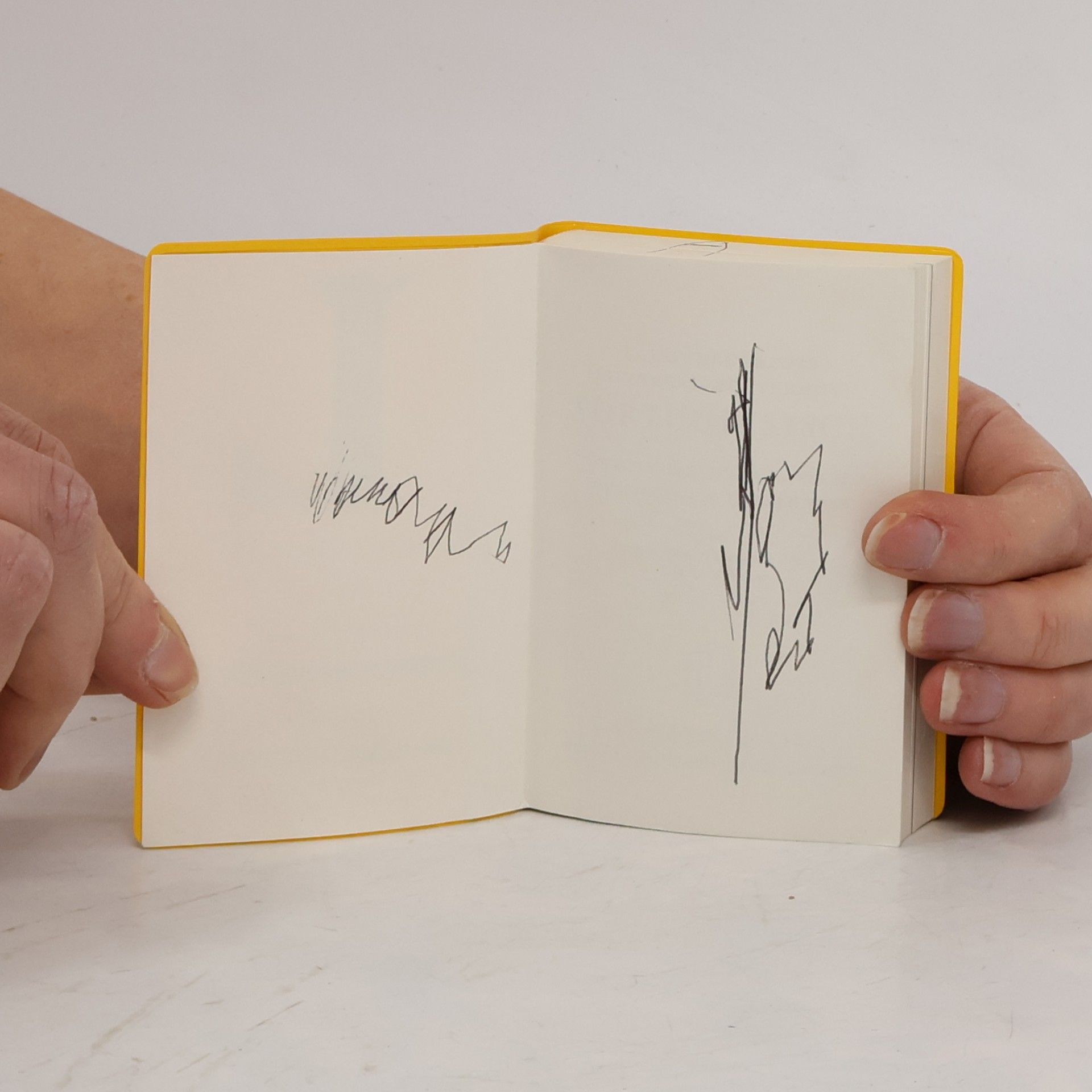 Uwe Brauer Langenscheidts Universal-Wörterbuch : Portugiesisch