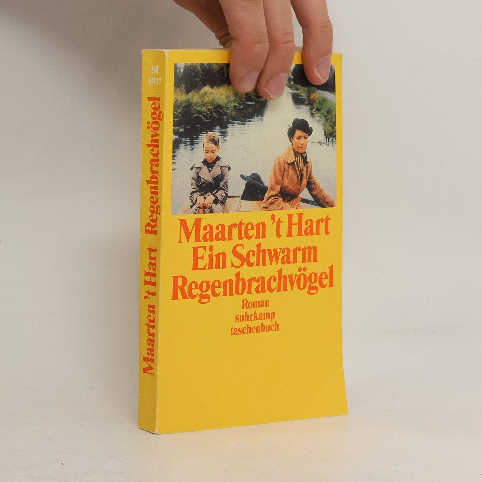 Maarten 't Hart Ein Schwarm Regenbrachvögel
