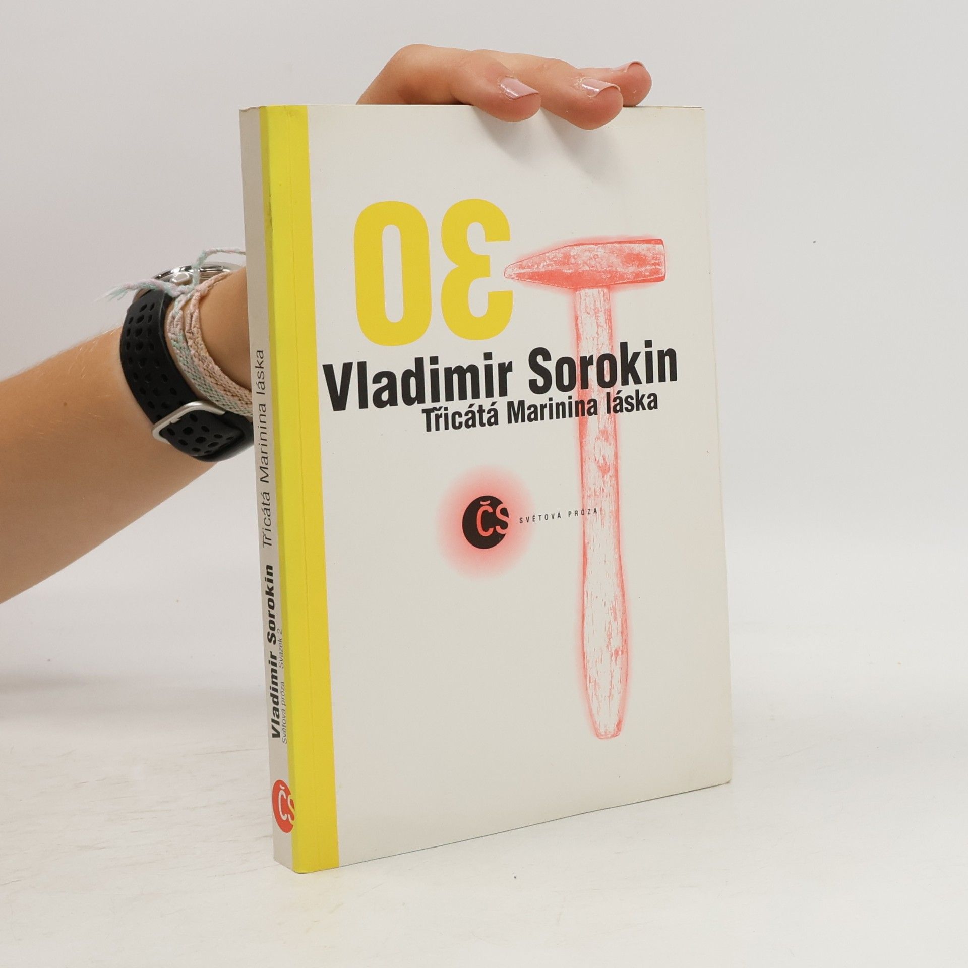 Vladimir Sorokin Třicátá Marinina láska