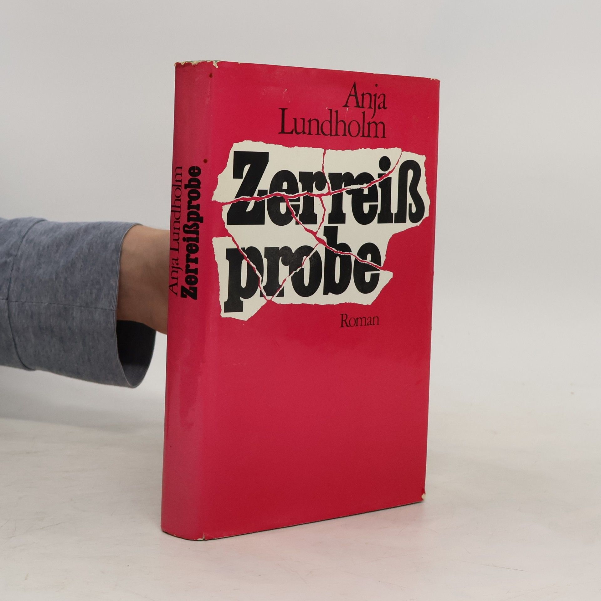 Anja Lundholm Zerreißprobe