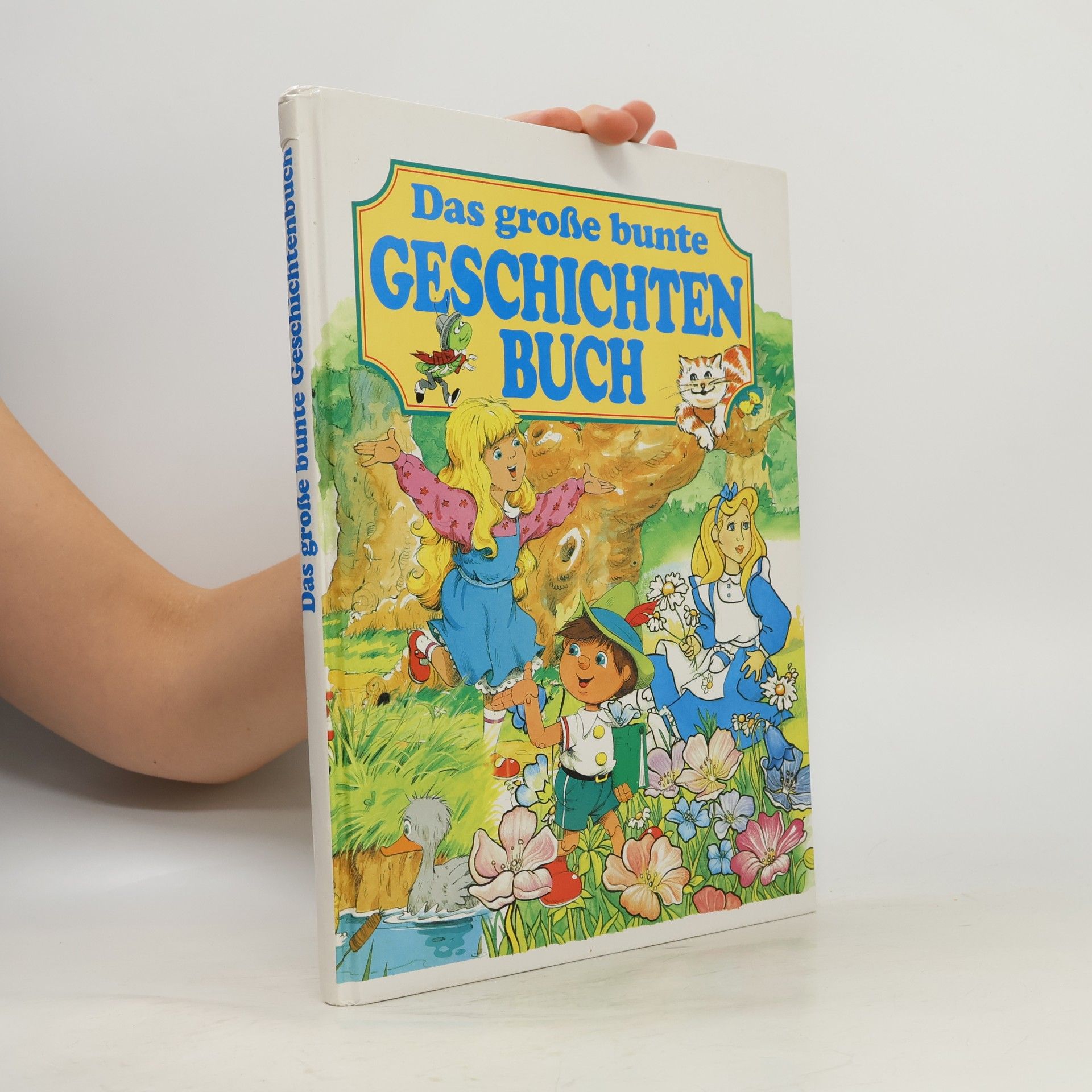 Maureen Spurgeon Das große bunte Geschichtenbuch. Sonderausgabe.