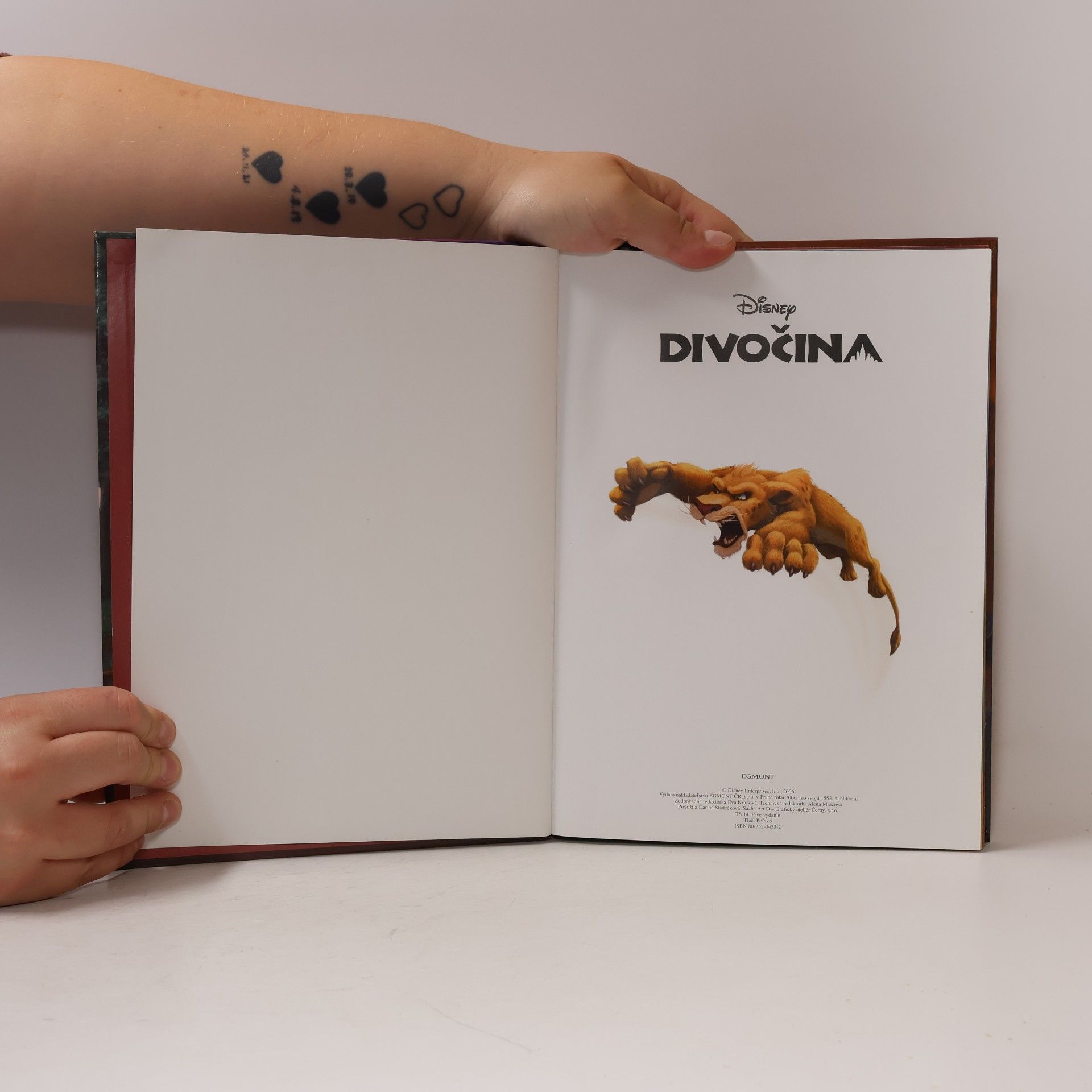 Autorenkollektiv Divočina