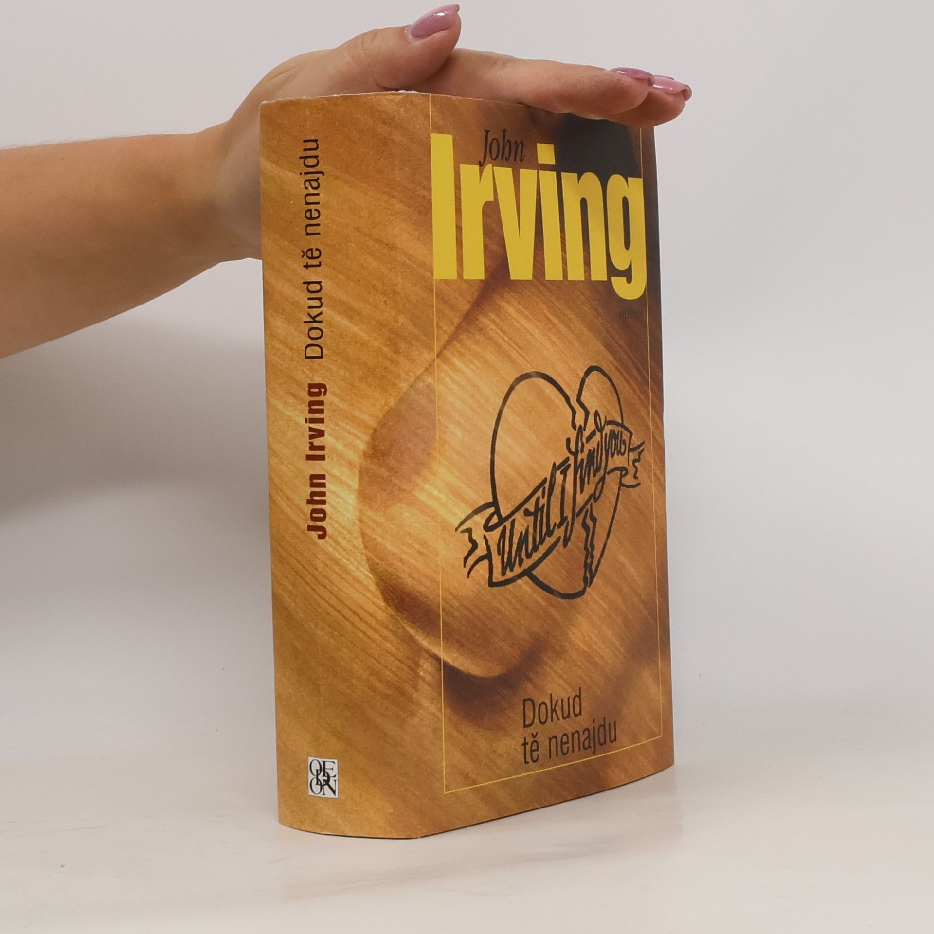 John Irving Dokud tě nenajdu