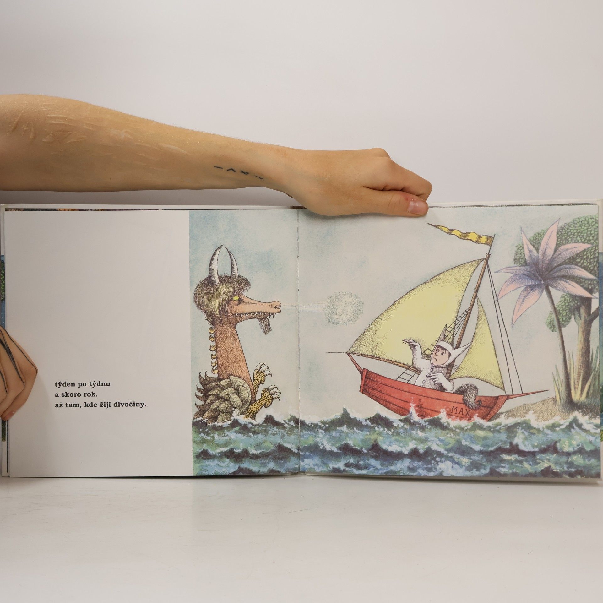 Maurice Sendak Tam kde žijí divočiny