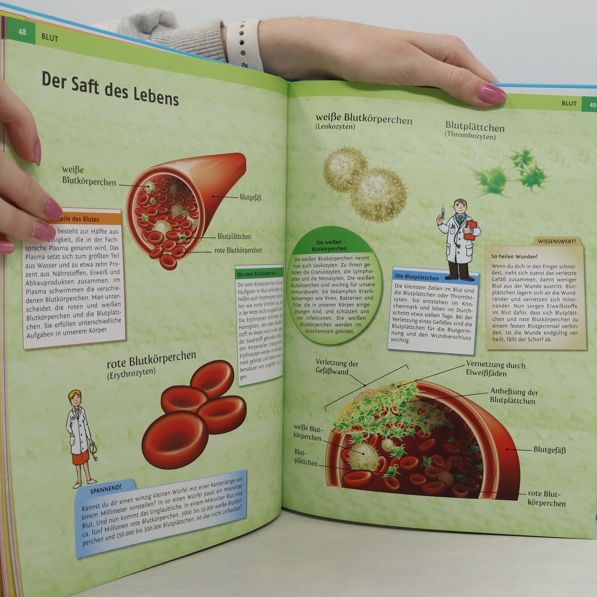 Autorenkollektiv Mein großer Körperatlas