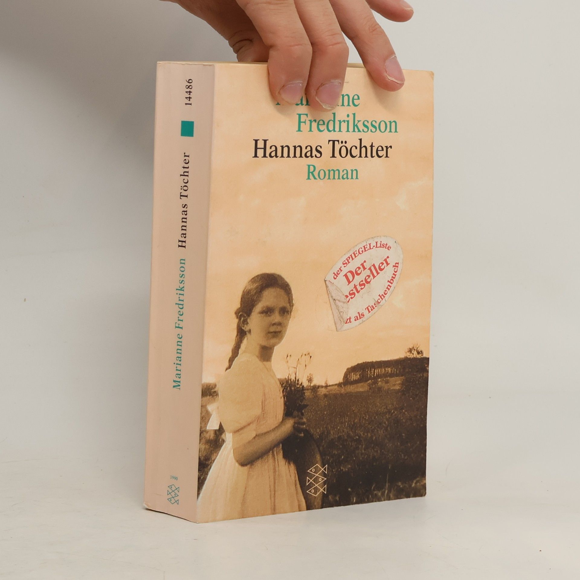 Marianne Fredriksson Hannas Töchter