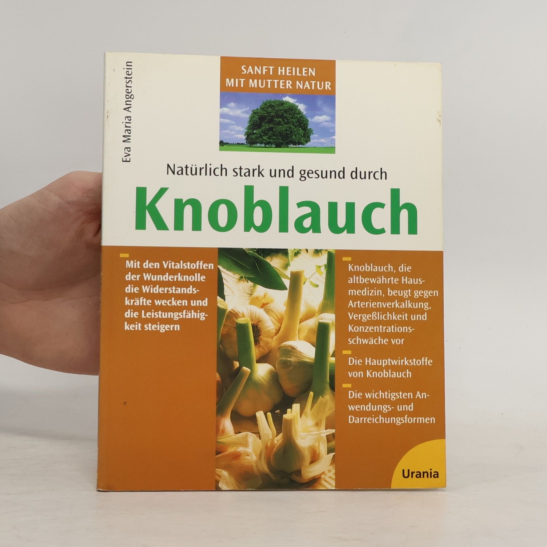 Eva M. Angerstein Natürlich stark und gesund durch Knoblauch