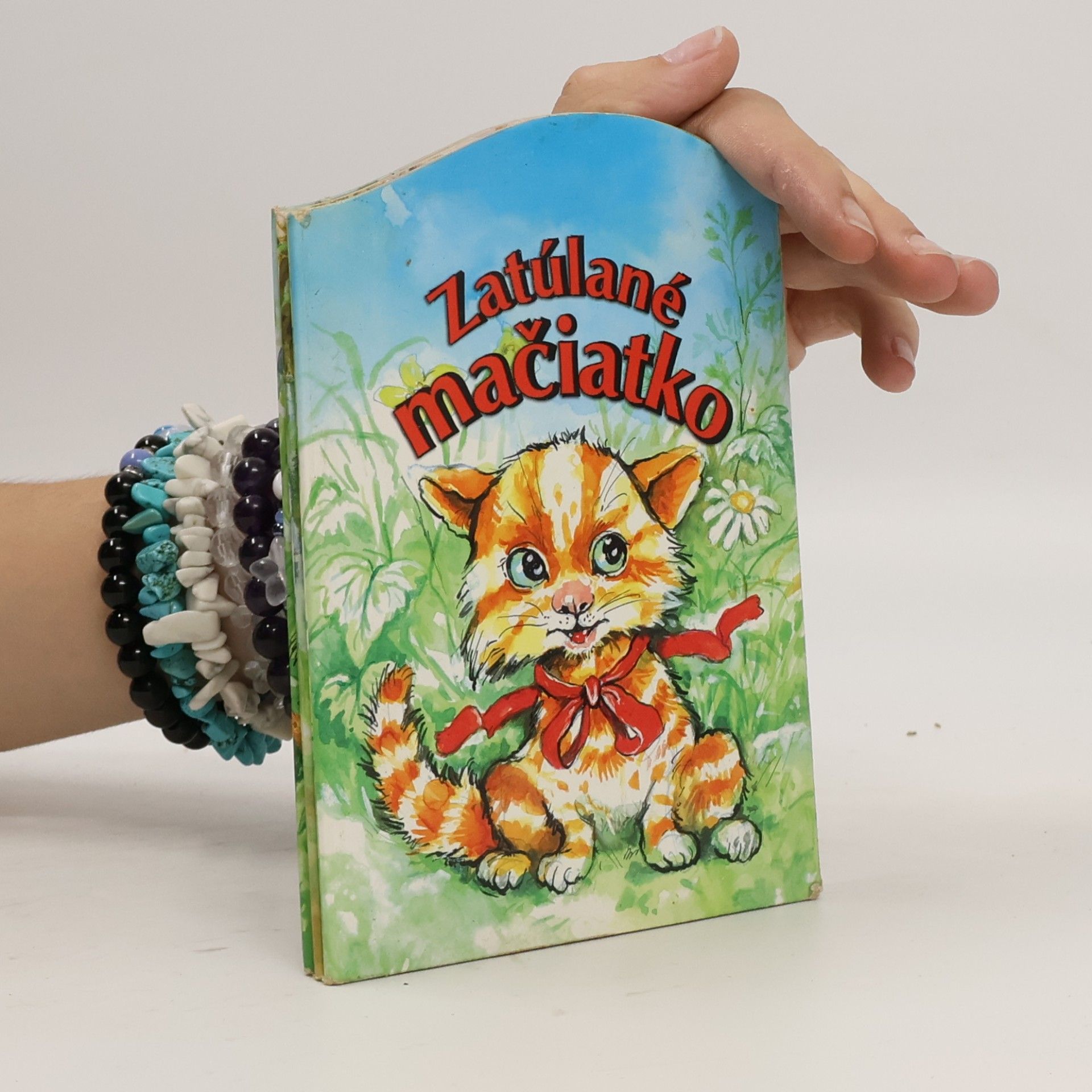 Autorenkollektiv Zatúlané mačiatko