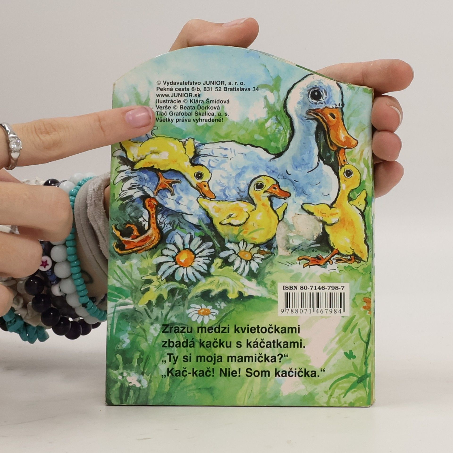 Autorenkollektiv Zatúlané mačiatko